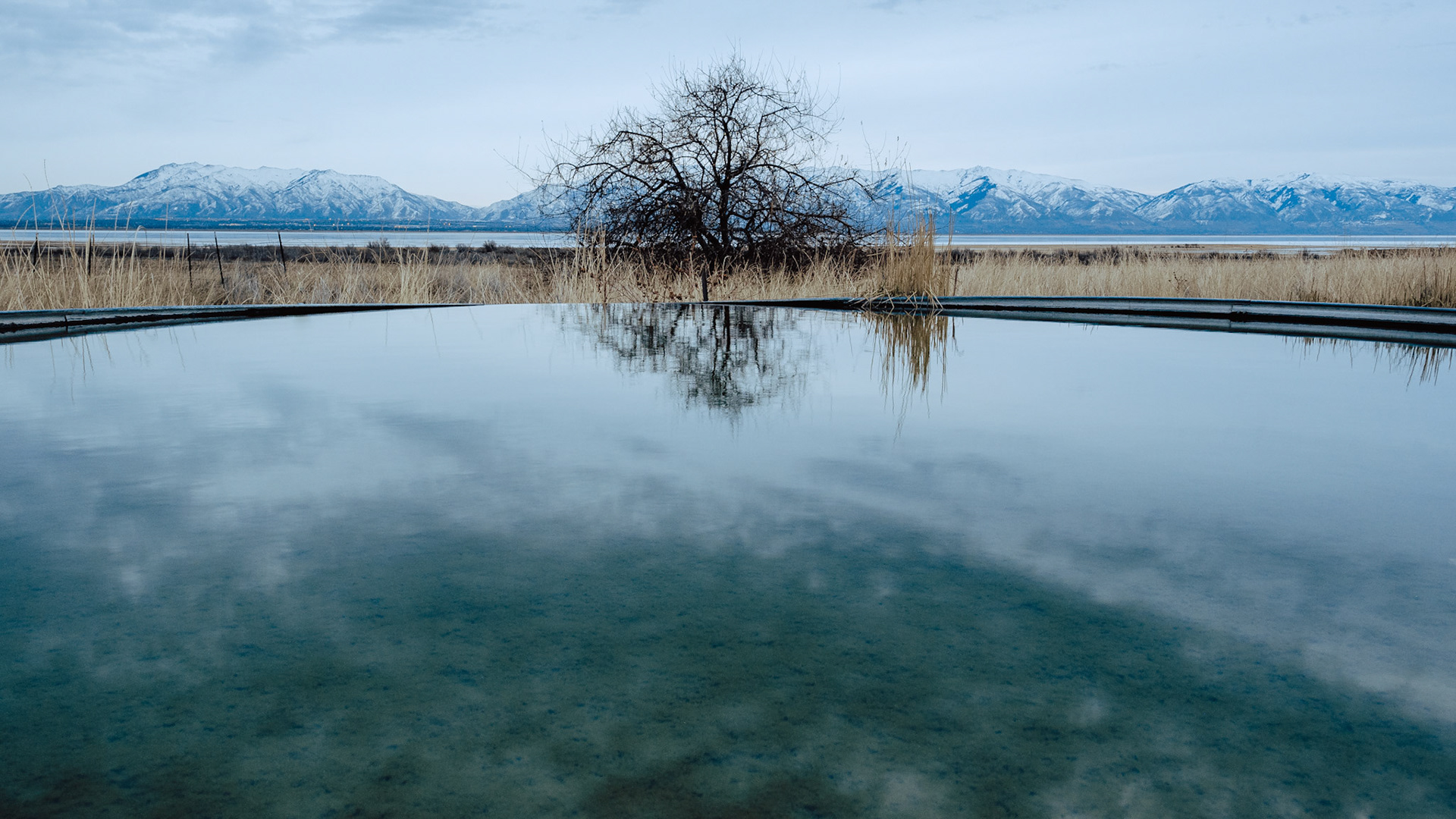 A tree is reflected in a circular water trough on Antelope Island. I captured this photograph just after being laid off. Photography brings me great calm in the most troubling times.