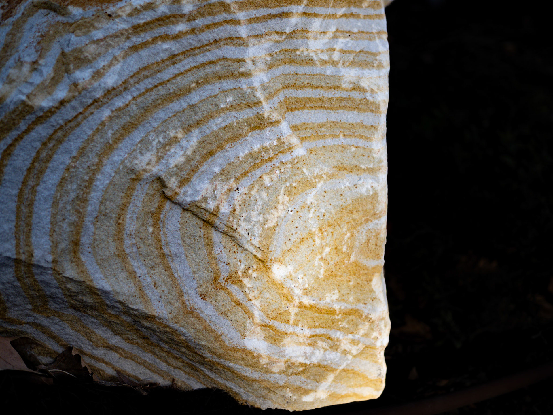 61/365 Decorative Rock