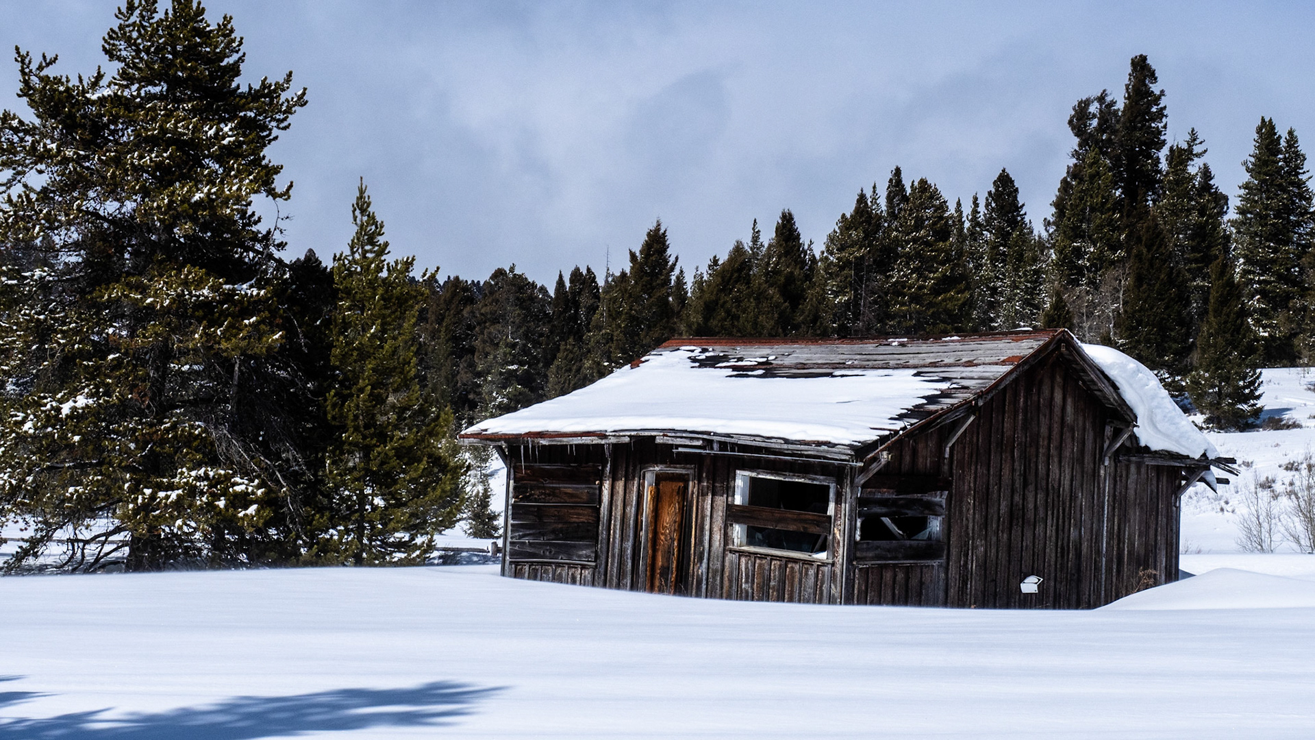 74/365 Log Cabin In Snow