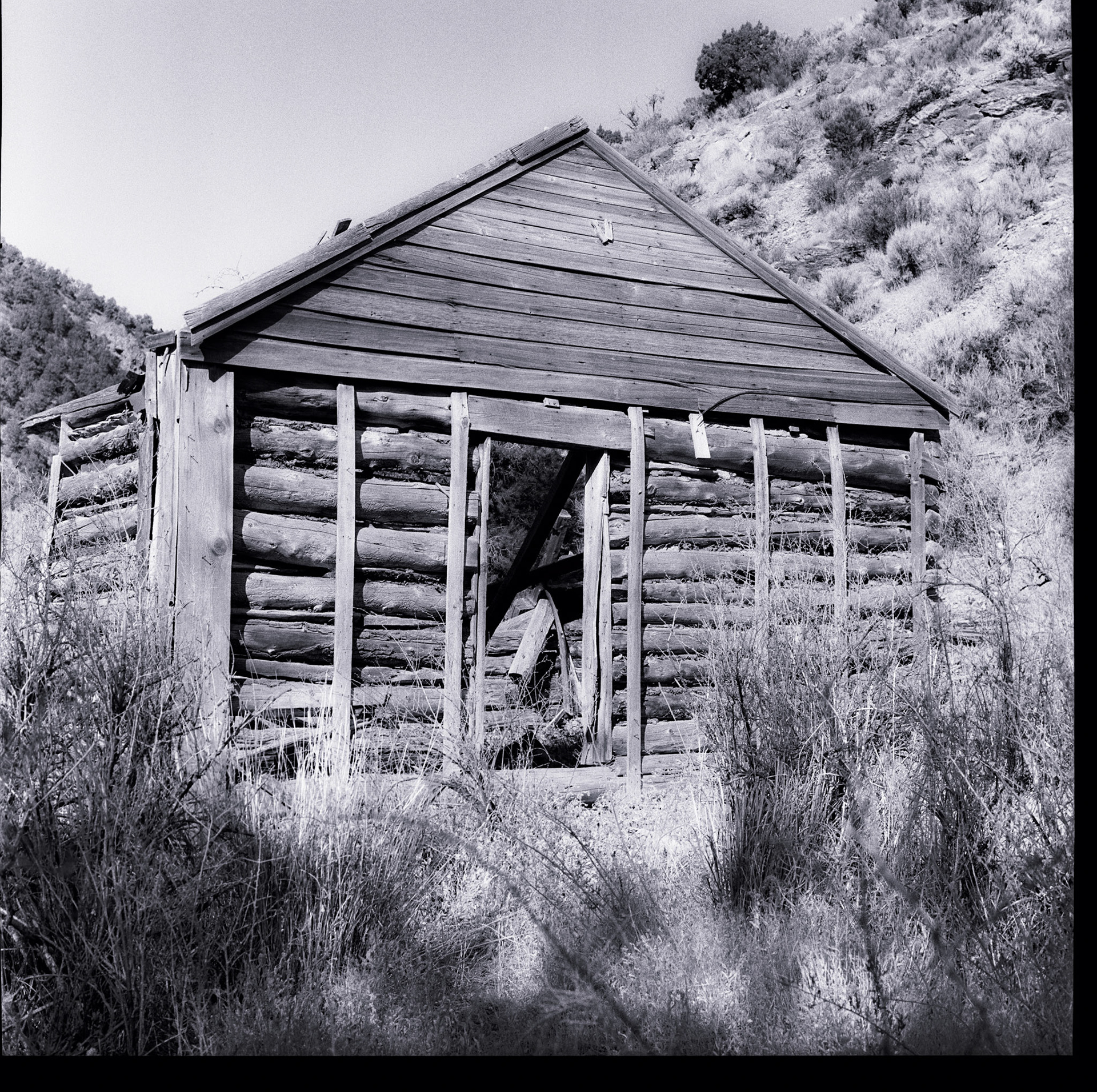 Not Analog Tuesday, but an Analog day all the same. I took my Hasselblad out with a roll of Tri-X recently, here's on of the images I captured.