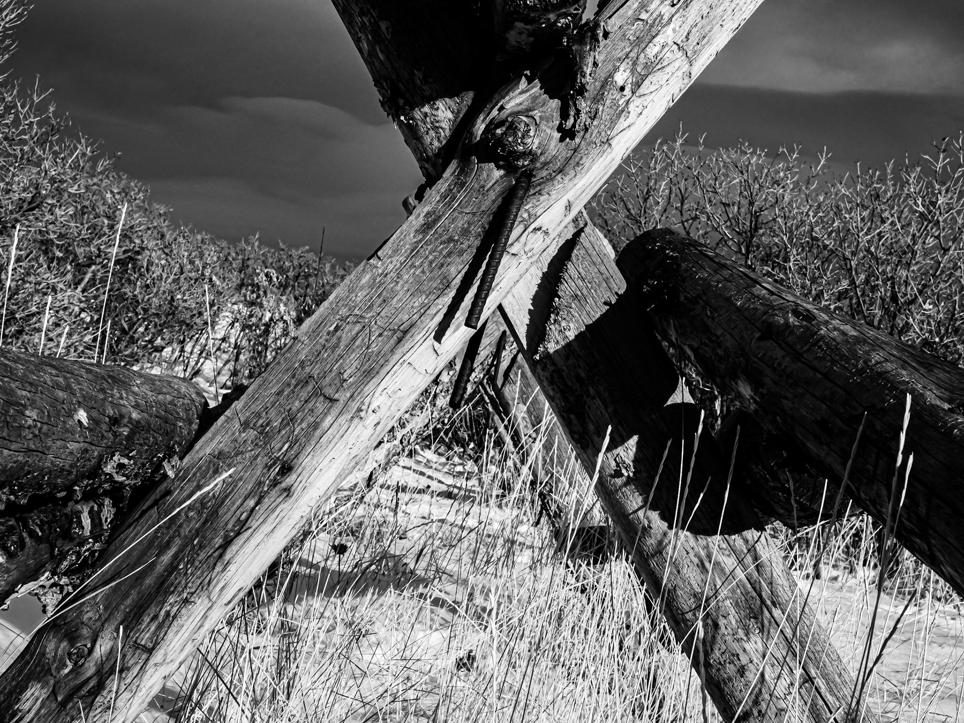 10/365 Jackleg Fence