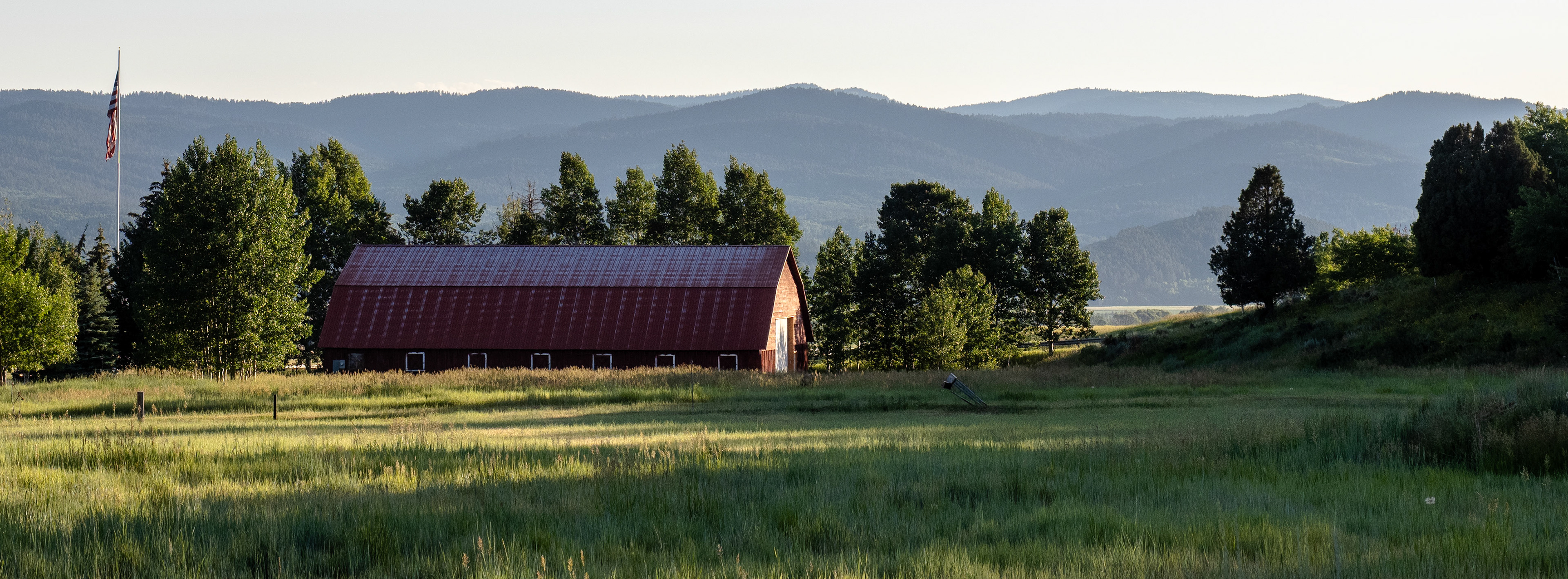 I took the Grands on a walk this evening. We found a few different photogenic scenes, but I liked this one the best.