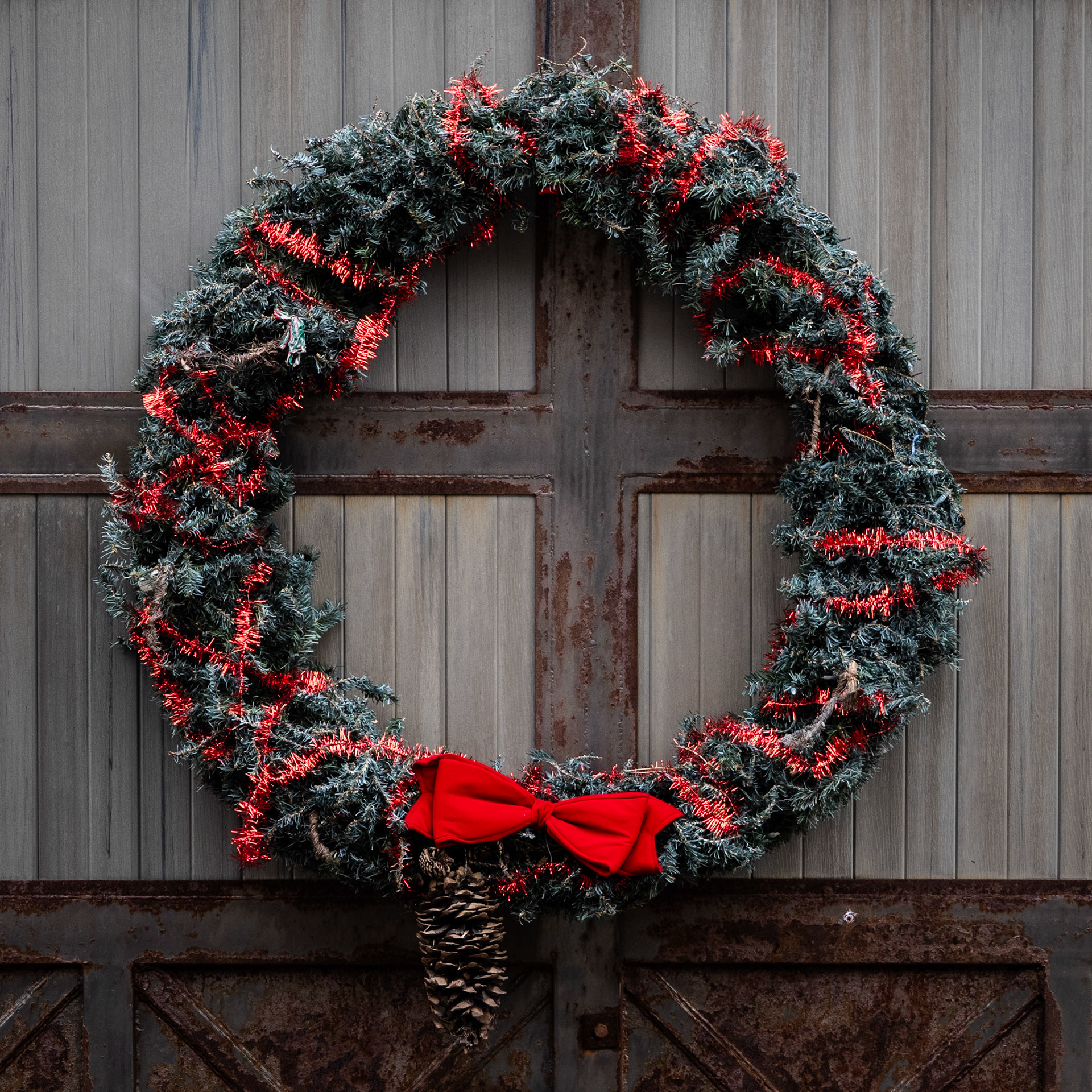 I went on a bike ride this morning and rode past this wreath. I thought it would be a good subject for today's picture.