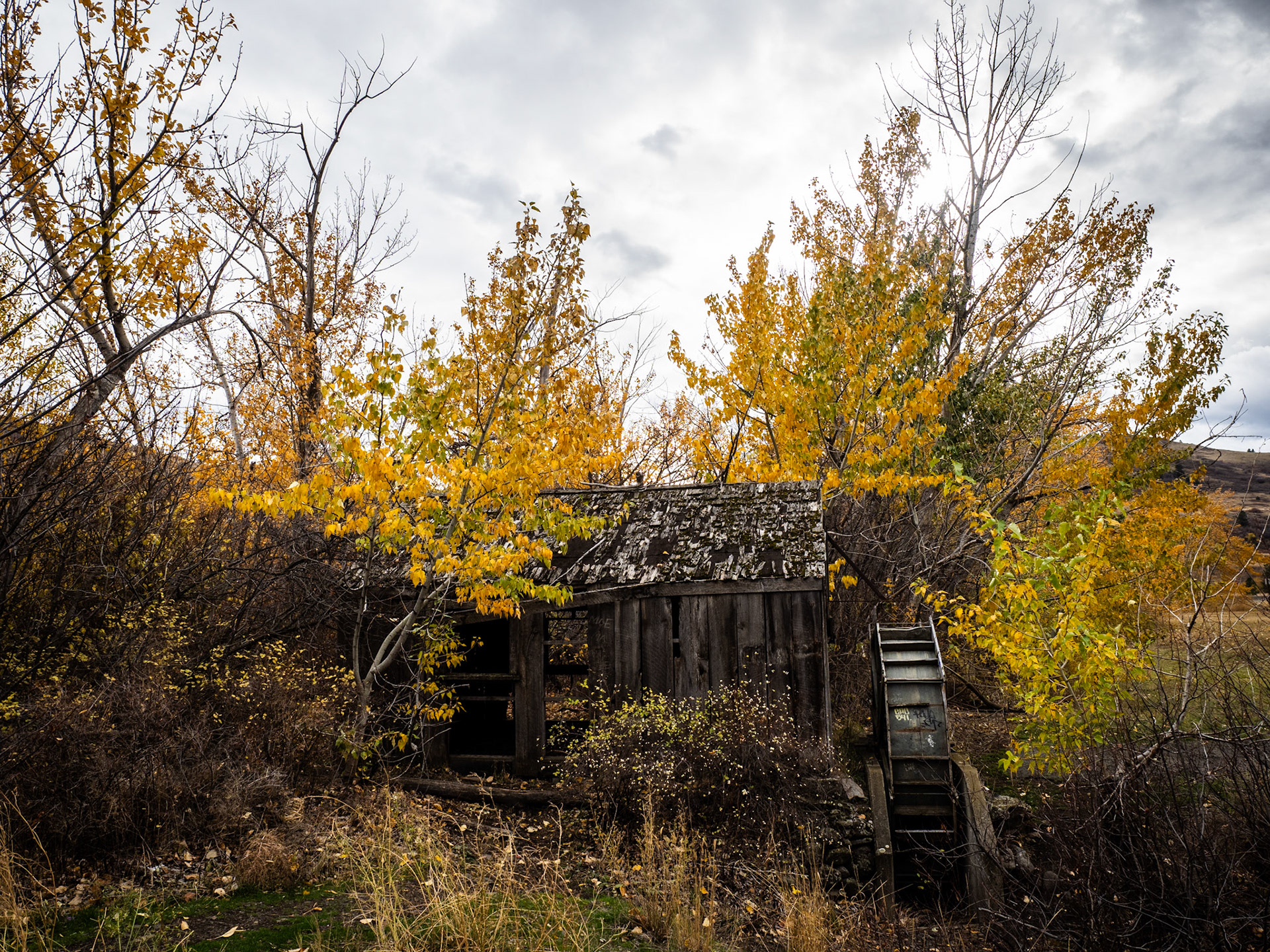 ... in Ladd Creek Canyon, near La Grange, ON, was built in 1911 and operated by William N Banton, a local rancher. Banton settled the land in 1868 as a youngster with is parents, who were pioneers fr0m Missouri. He raised livestock until his retirement in 1940.