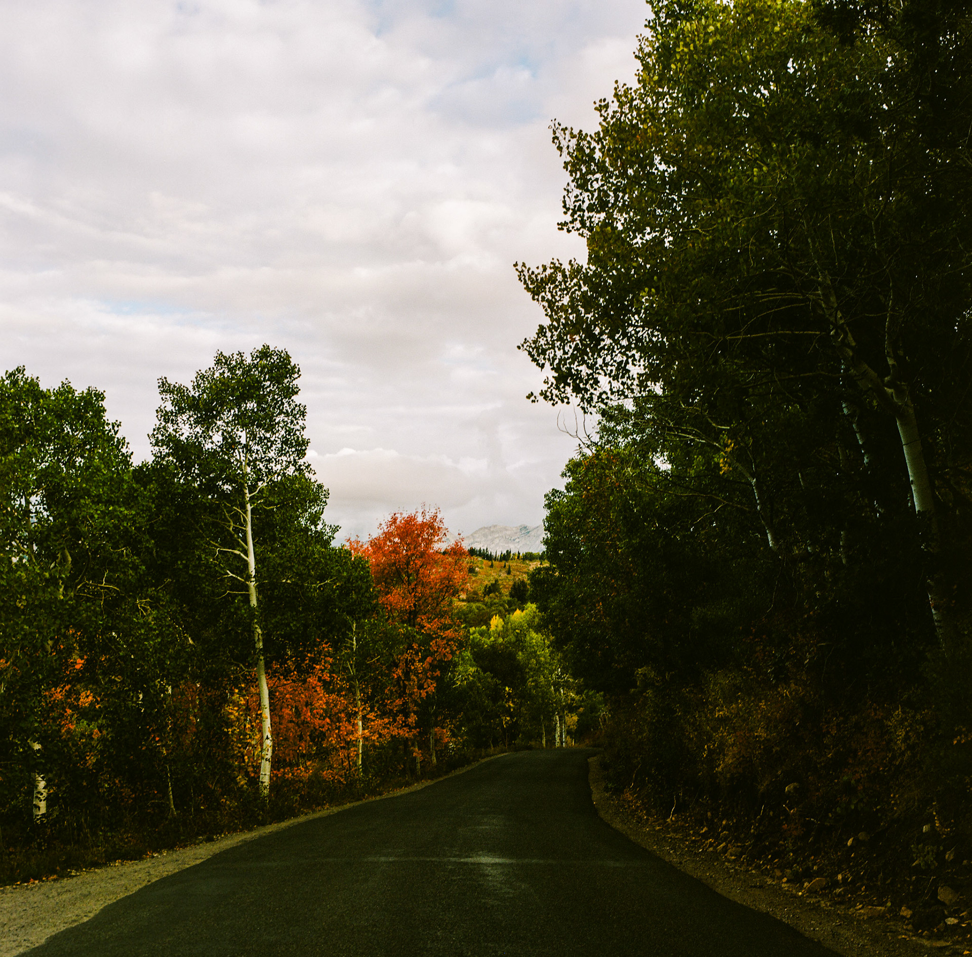 Here's an analog picture of what I found when I looked behind me as I climbed the Alpine Loop a couple weeks ago.