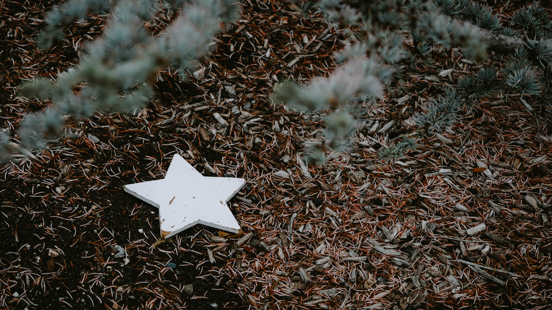 The wind is taking it's toll on outdoor Christmas ornaments today.
