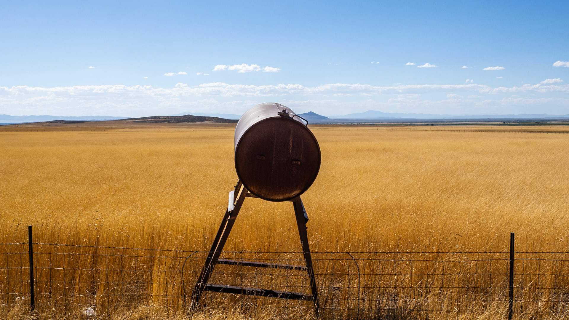Yes, even an abandoned fuel tank can have a happy day.