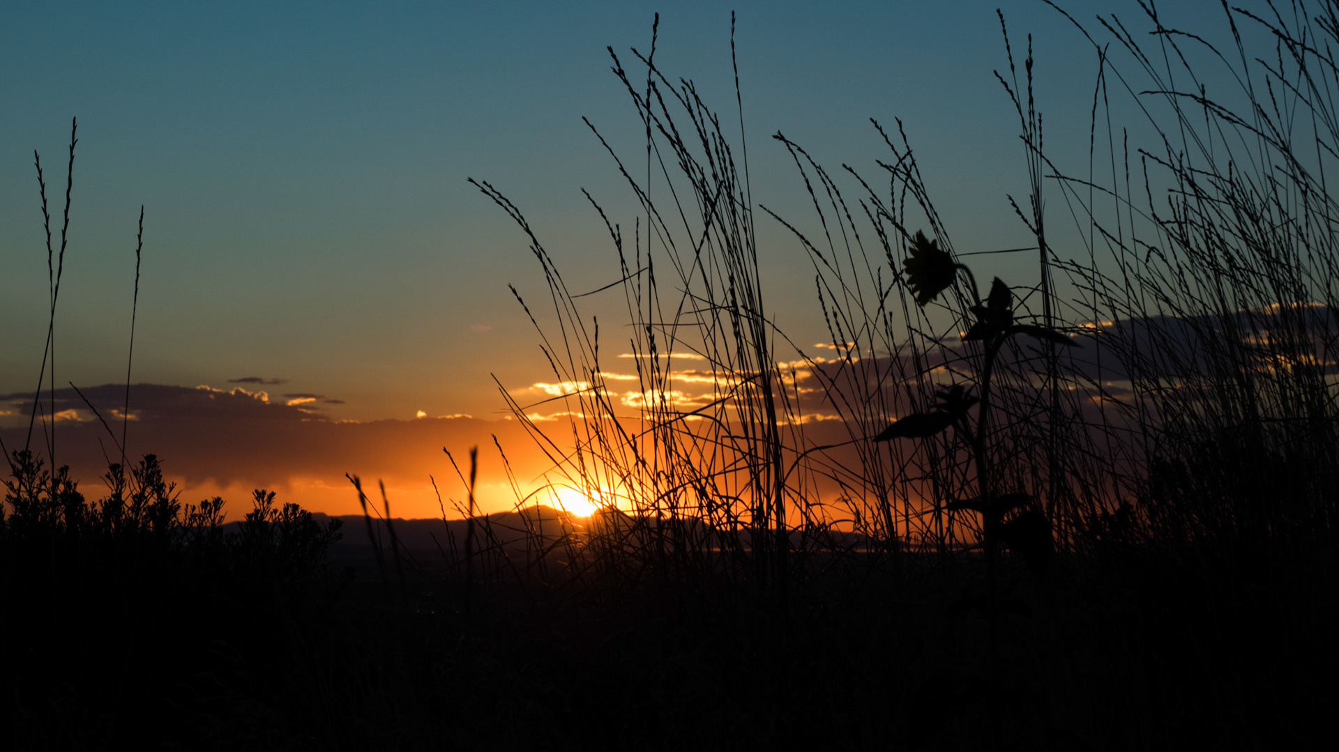 Sunsets in the west are always beautiful. I do love the sunsets viewed from Antelope Island.