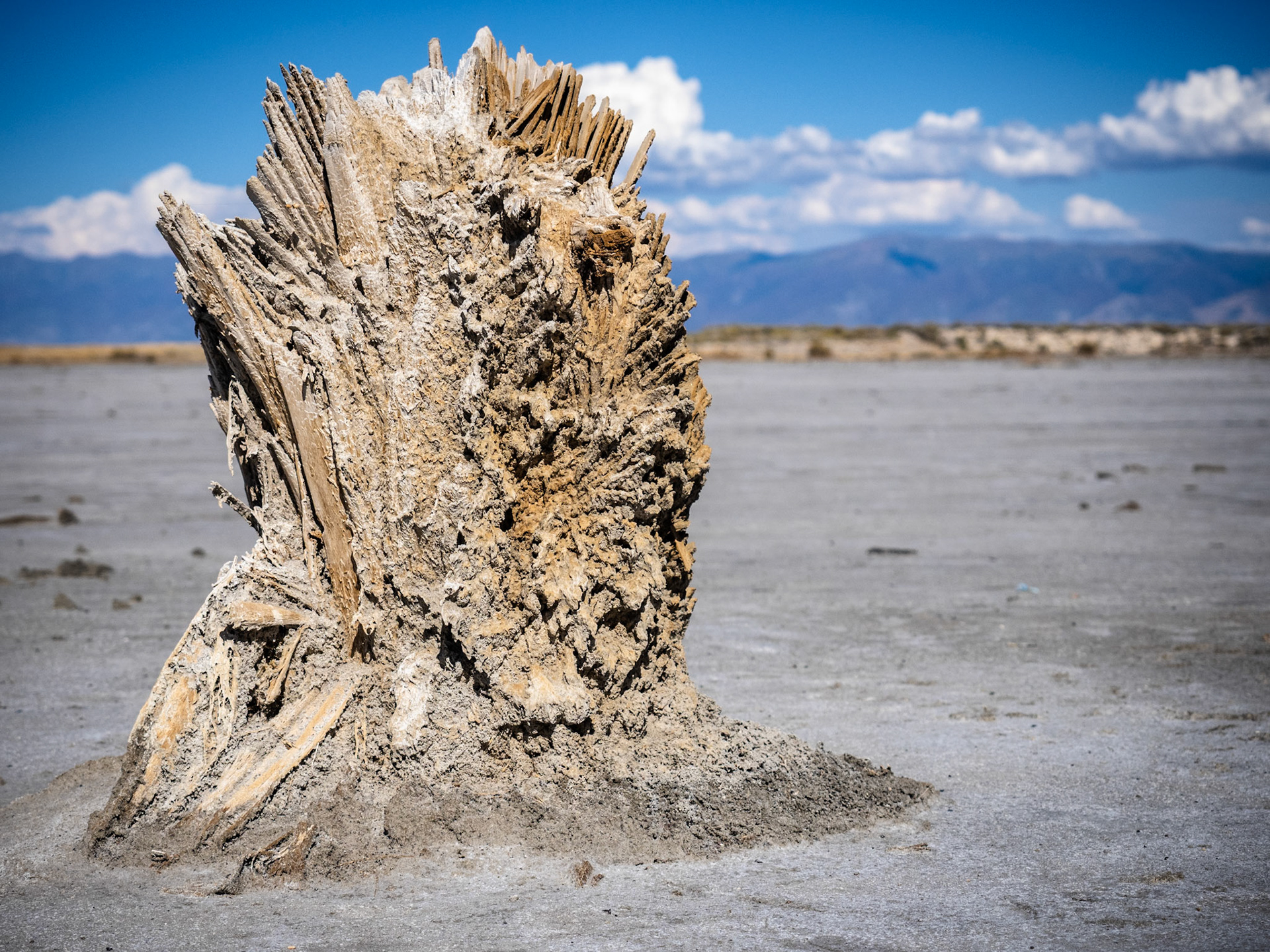 This old piling, left over from the old Saltair complex, looks like a mythical ice man, and is a little bit scary. Fortunately, he's stuck in the sand.