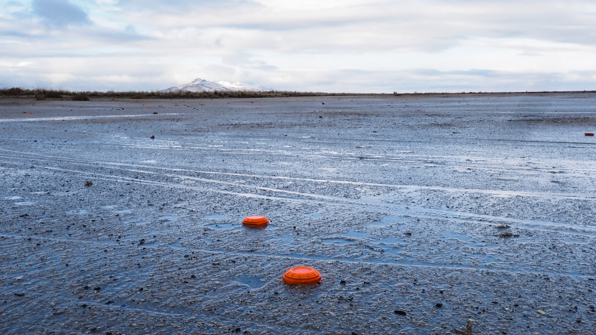 We had the first snow of the winter on the valley floor. I was worried how the skeet would take it. As you can see, the skeet are doing just fine. I'll be checking in on them through the winter.