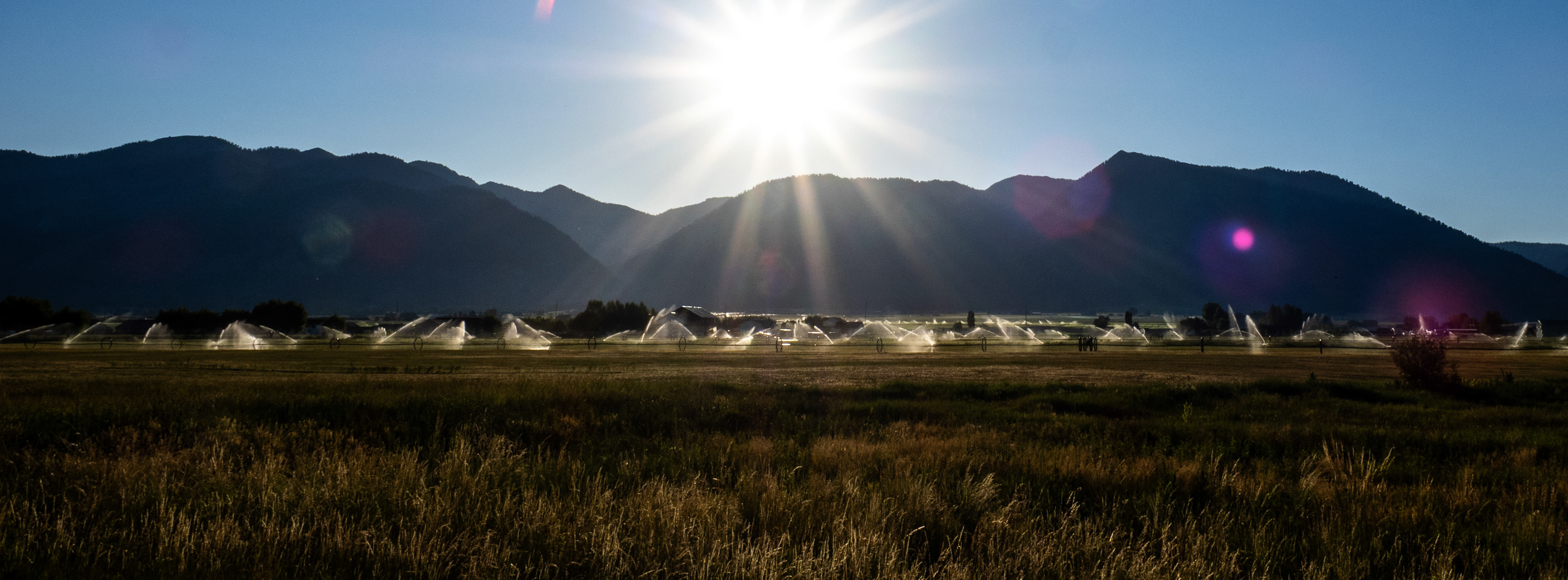 Early morning irrigation going on the eastern side of Star Valley.