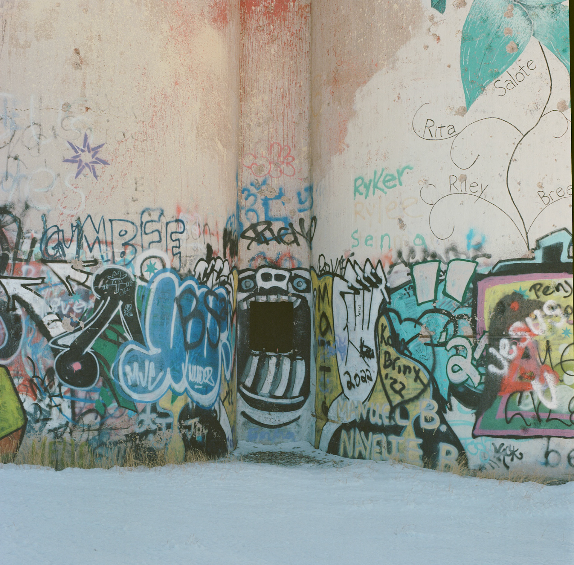 Today is Analog Tuesday. I captured this picture back in February. Another thing that fascinates me is grafitti. I love the colors, how they match and clash, and the artistry.