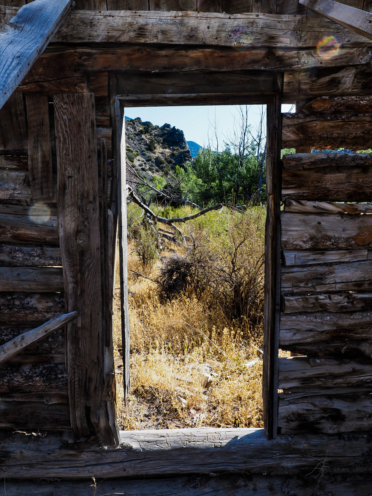 Doorway... to Ophir Canyon.