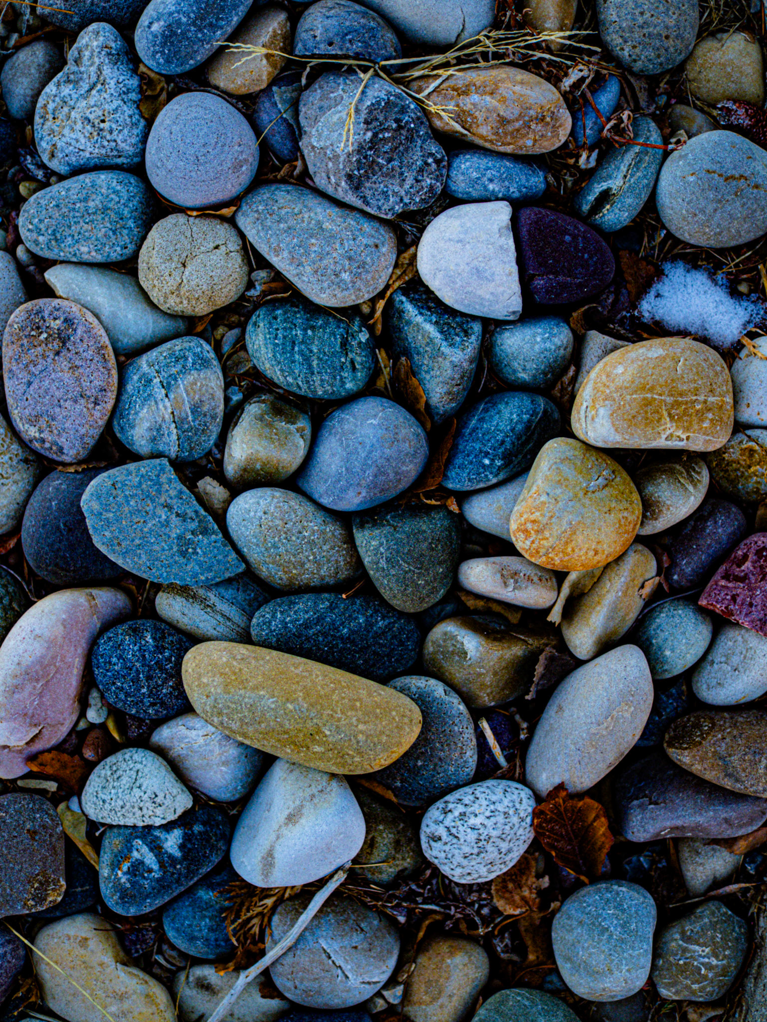 43/365 Just Some Rocks