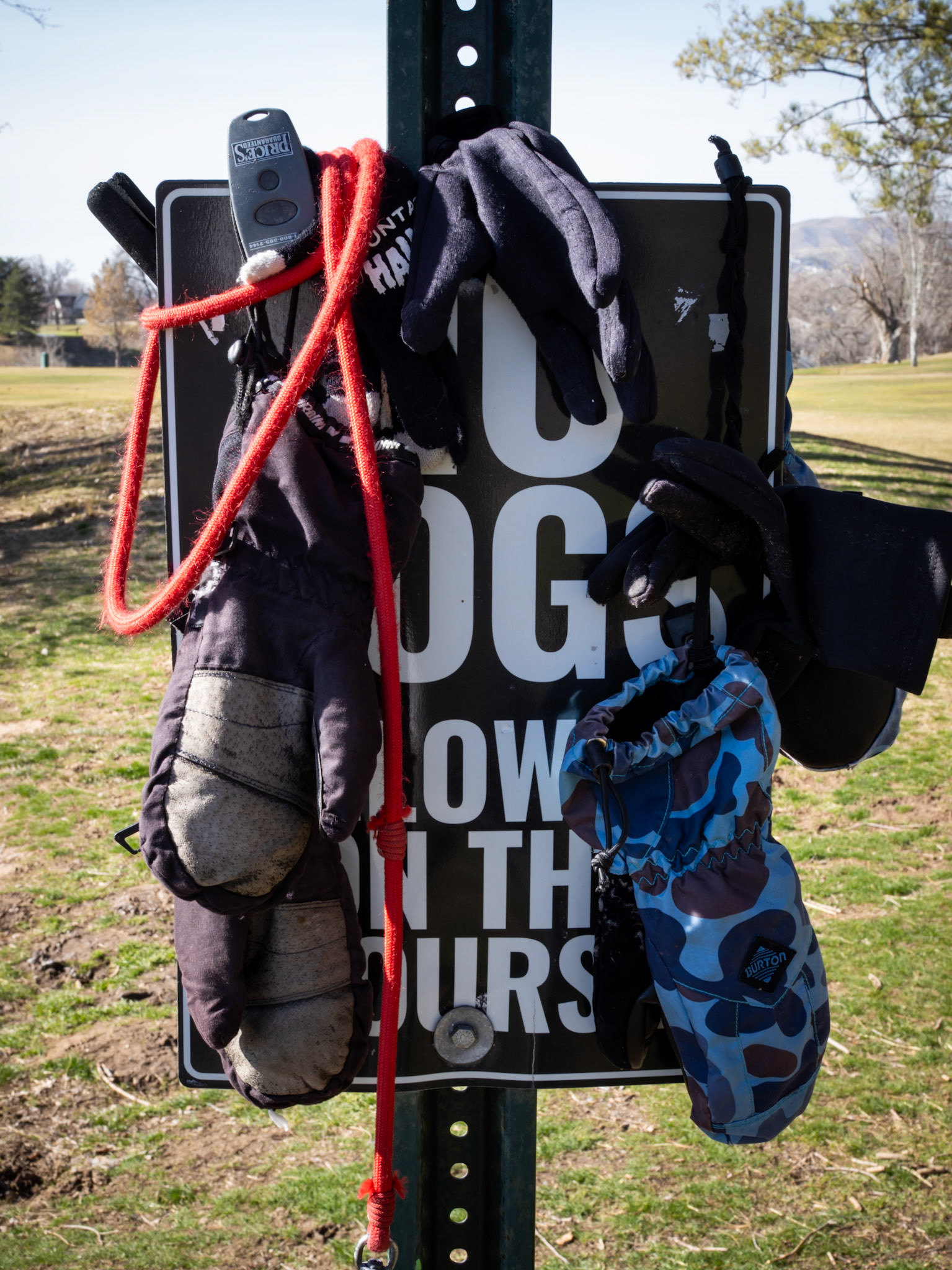 69/365 Lost and Found Dos