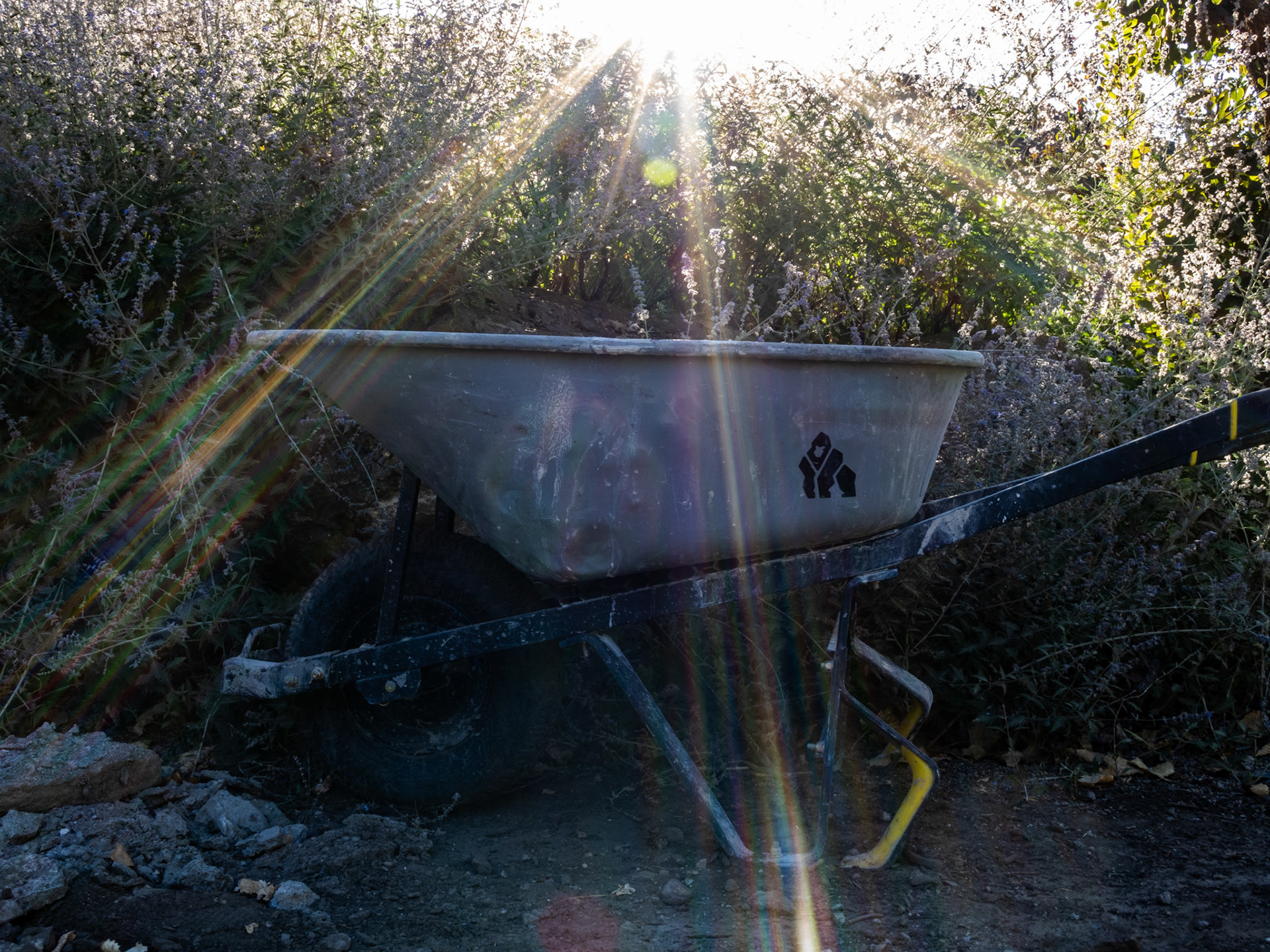Ahhhh! as angels singing "ahhh!" Even a banged up wheel barrow, full of dried cement, deserves an artsy treatment.