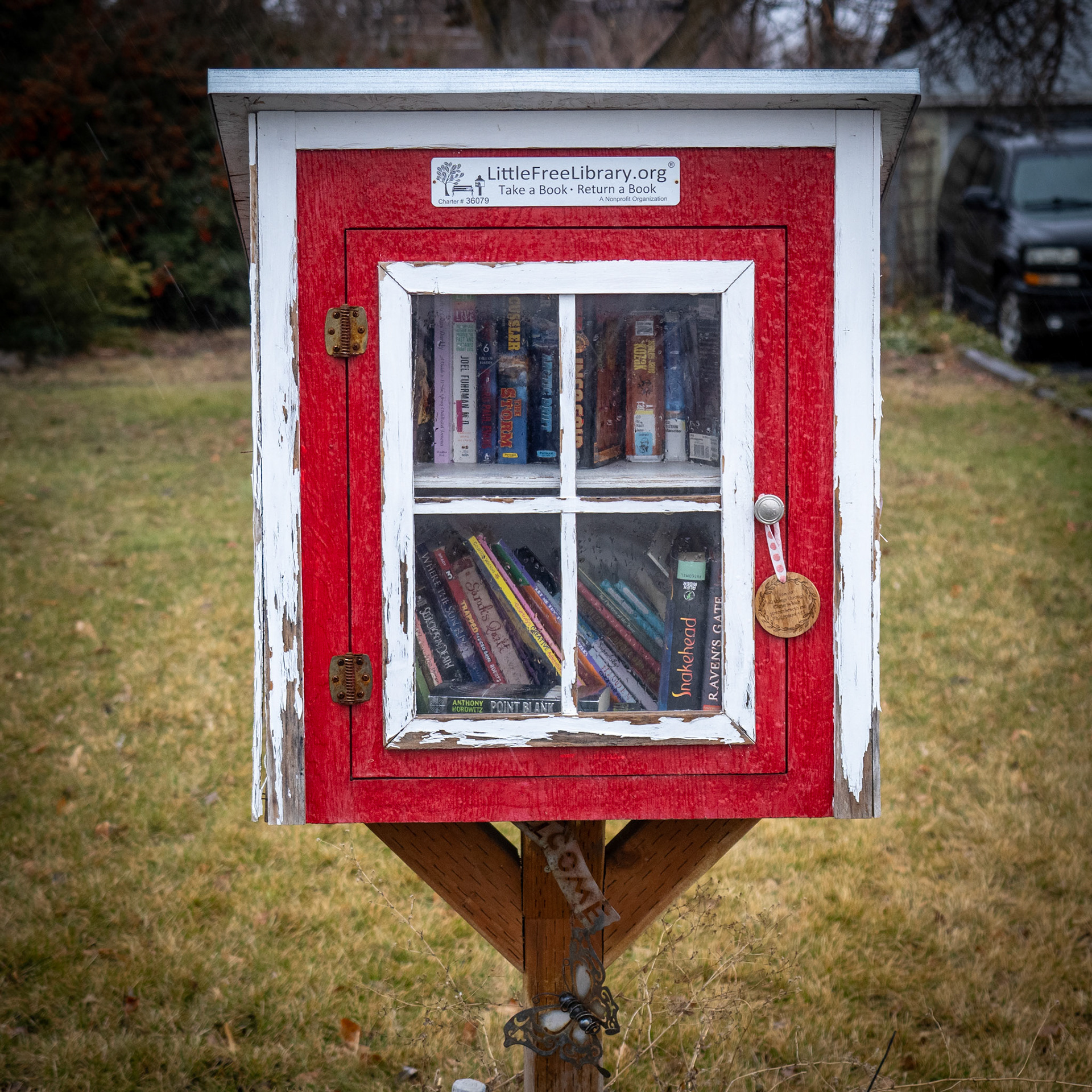 38/365 LittleFreeLibrary.org