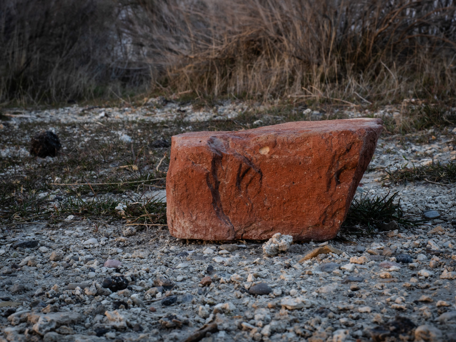 Look, I found a sand crawler. It's smaller than I expected.