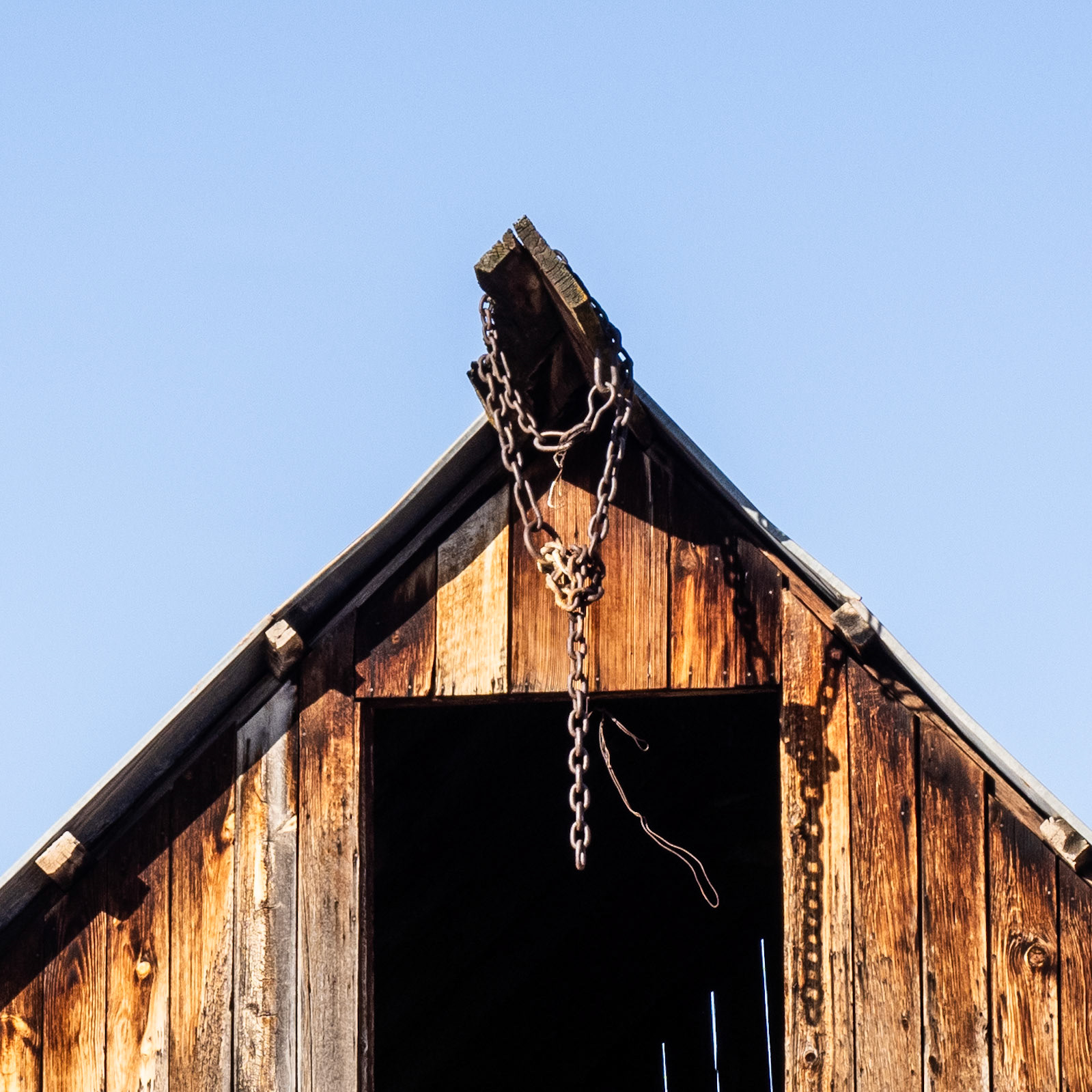 67/365 Barn Necktie