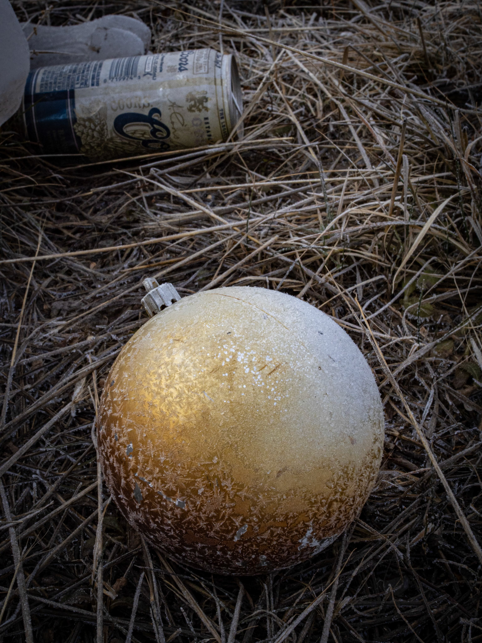 1/365 Discarded Christmas