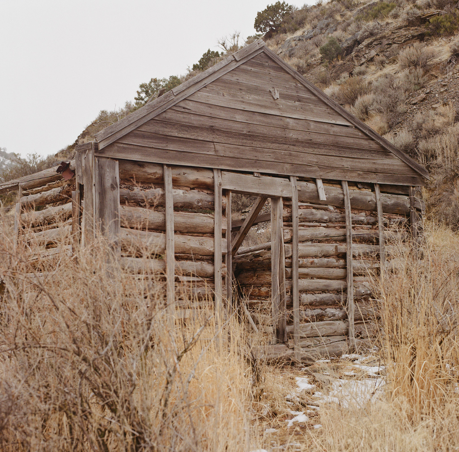 42/365 Ophir Canyon Abandoned Cabin