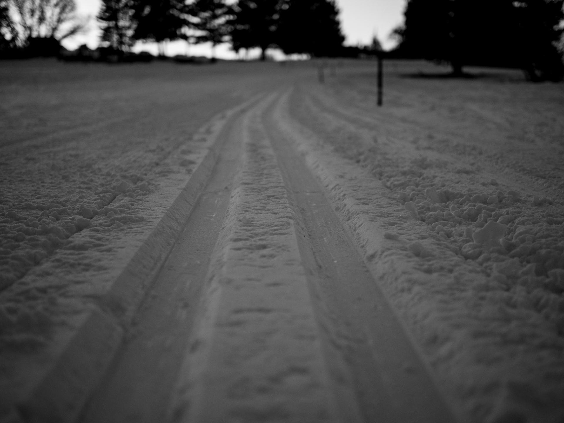 27/365 Tracks