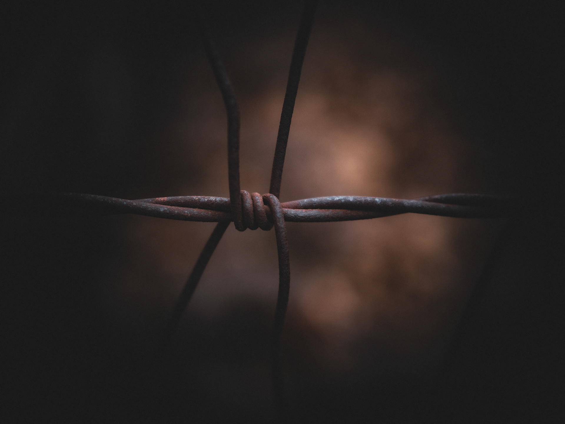 34/365 Steel Weaving