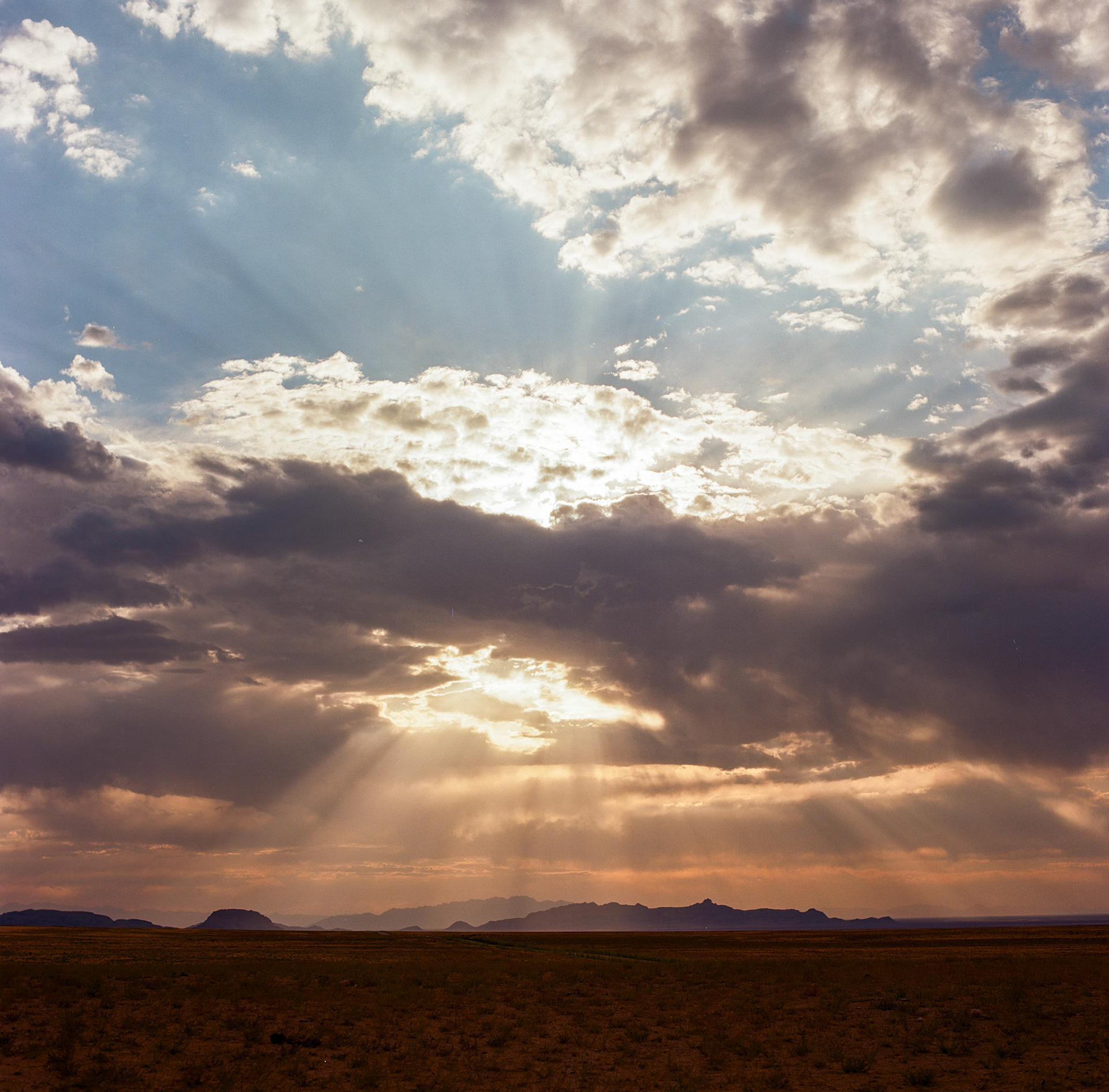 I captured this one a couple weeks ago when I was out capturing pictures of wild horses.