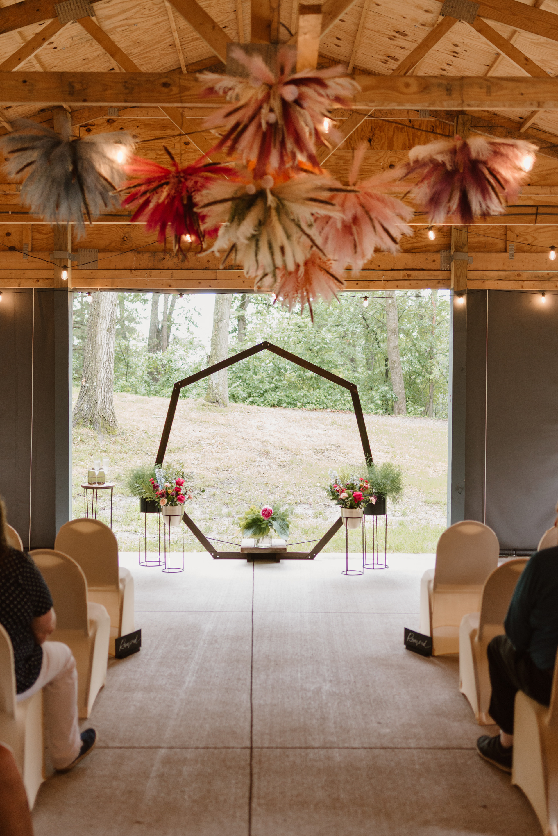 Wild Wings Weddings
