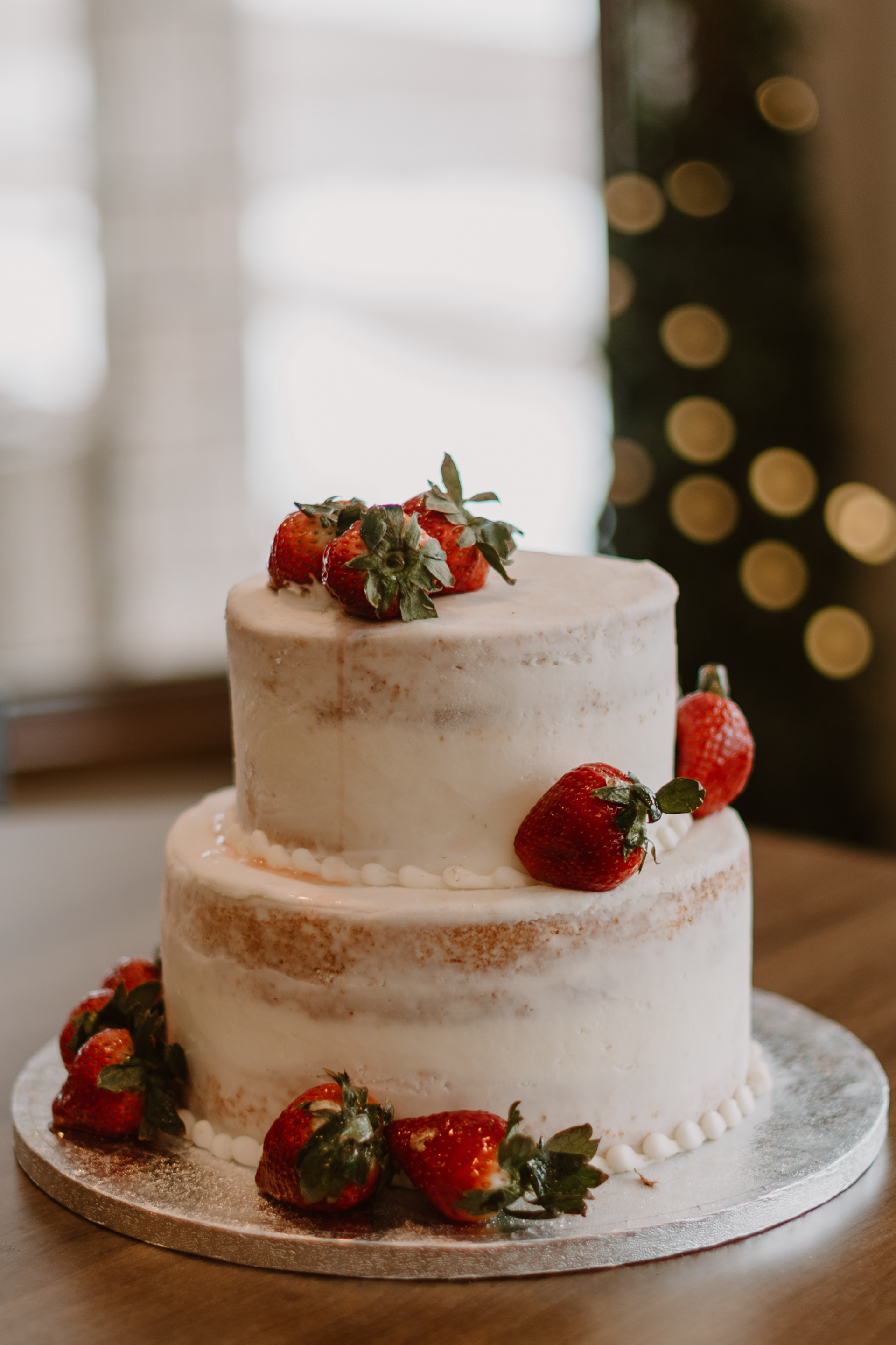 Beautiful White Bear Lake Wedding Photography Libby Aos