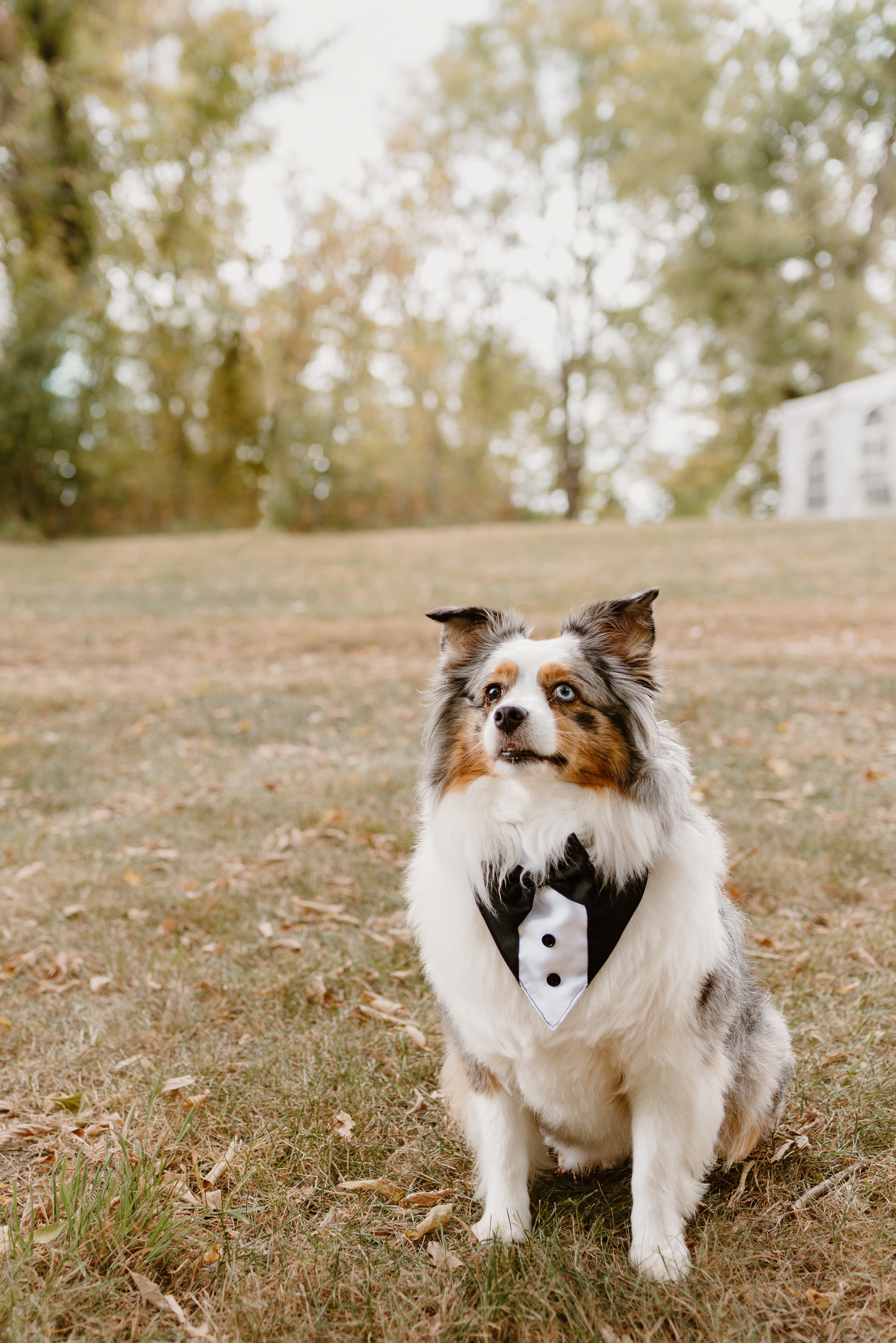 Gorgeous Farm Wedding Minnesota Libby Aos Photography