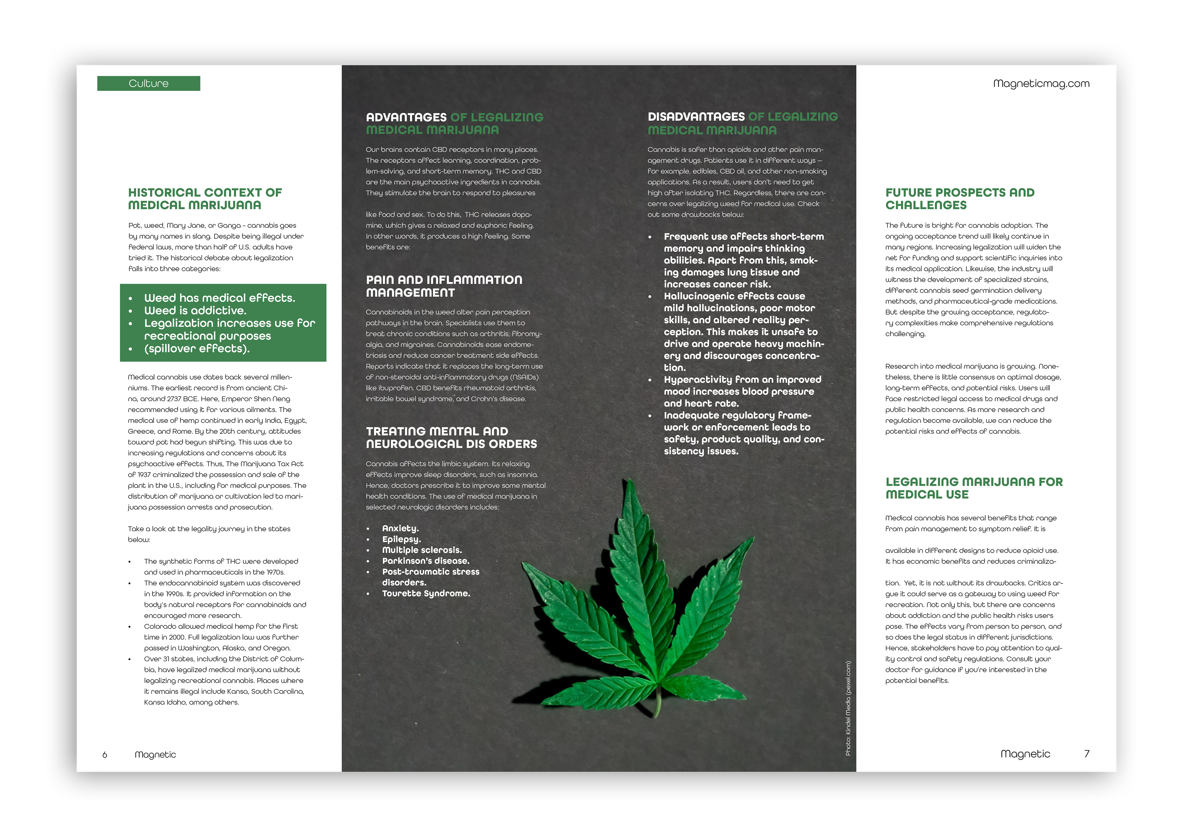 Consistent use of imagery, layout, and typography creates a cohesive visual identity throughout the magazine, while clear variations highlight and distinguish each article.