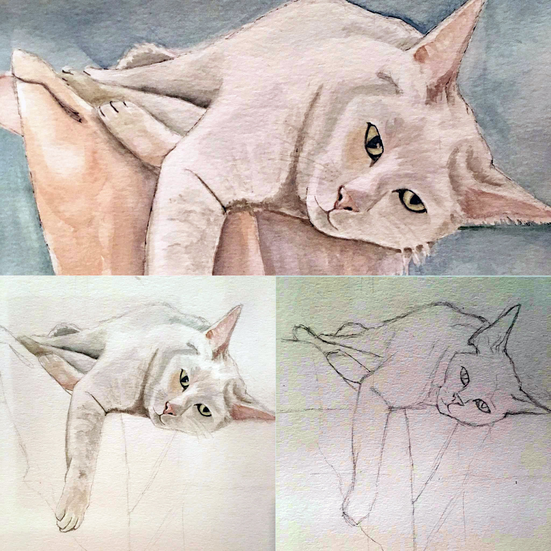 'Sarah's Cat' Watercolor 5" x 7"
