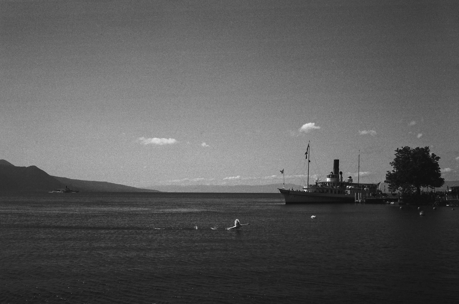 Suisse. 2022. Vevey. Quai Perdonnet #2.