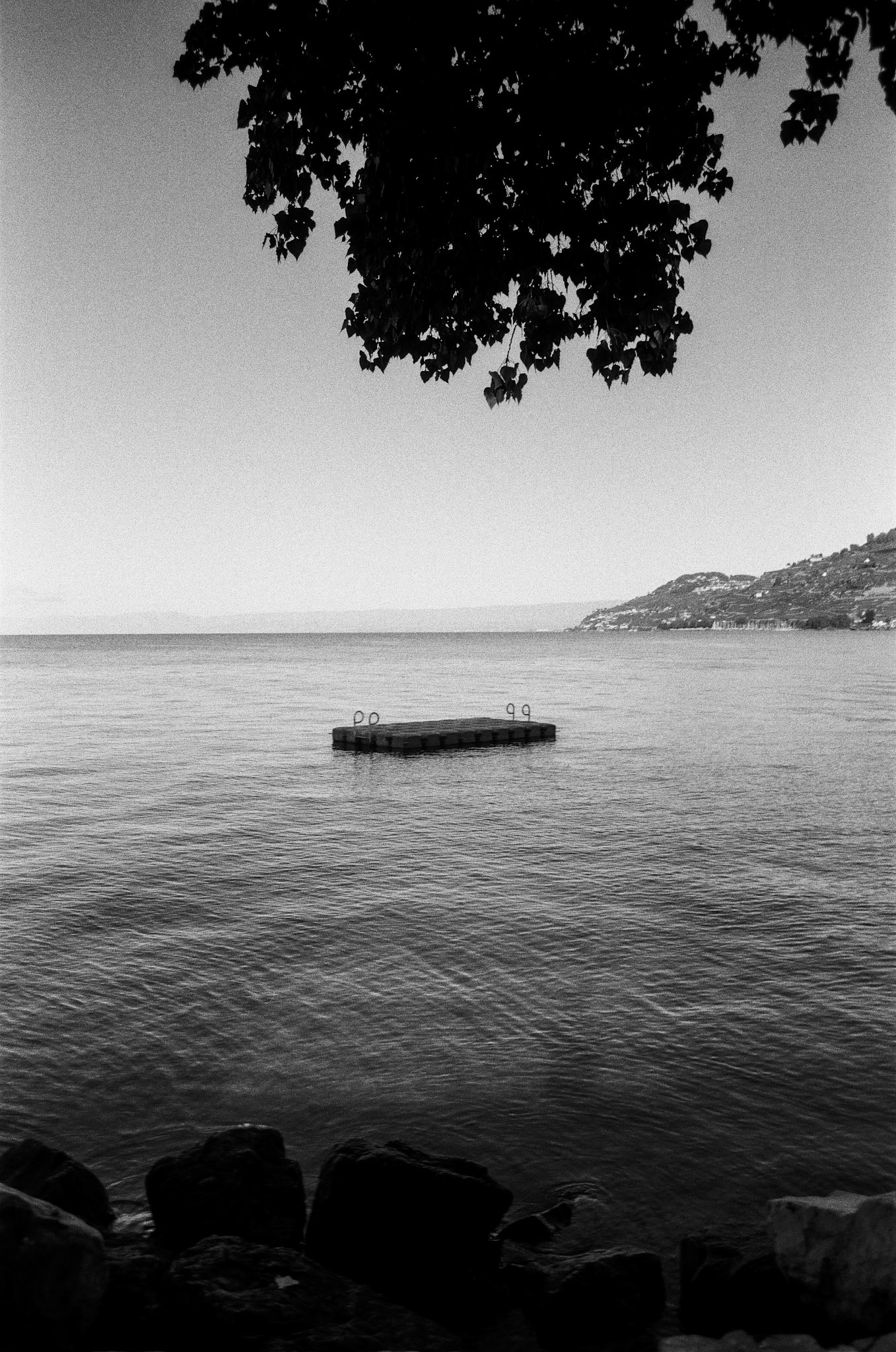 Suisse. 2022. Vevey. Siège de Nestlé #1.
