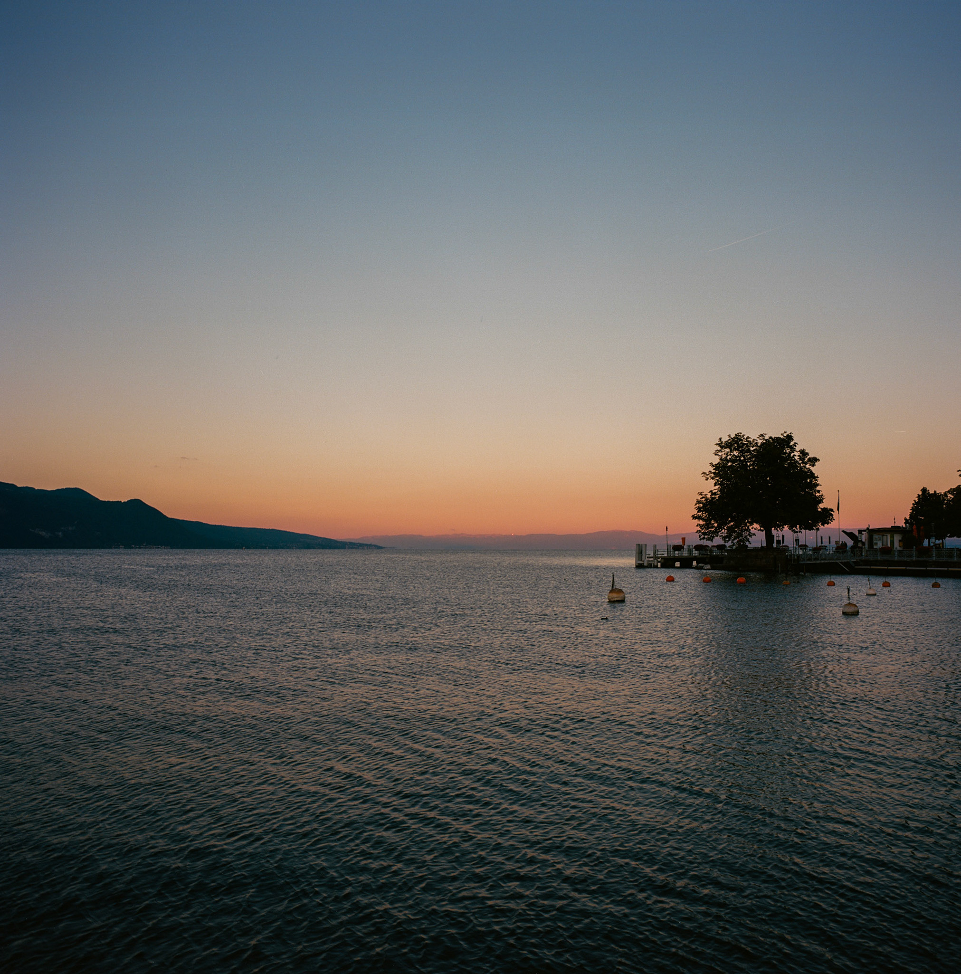 Suisse. 2022. Vevey. Quai Perdonnet #1.