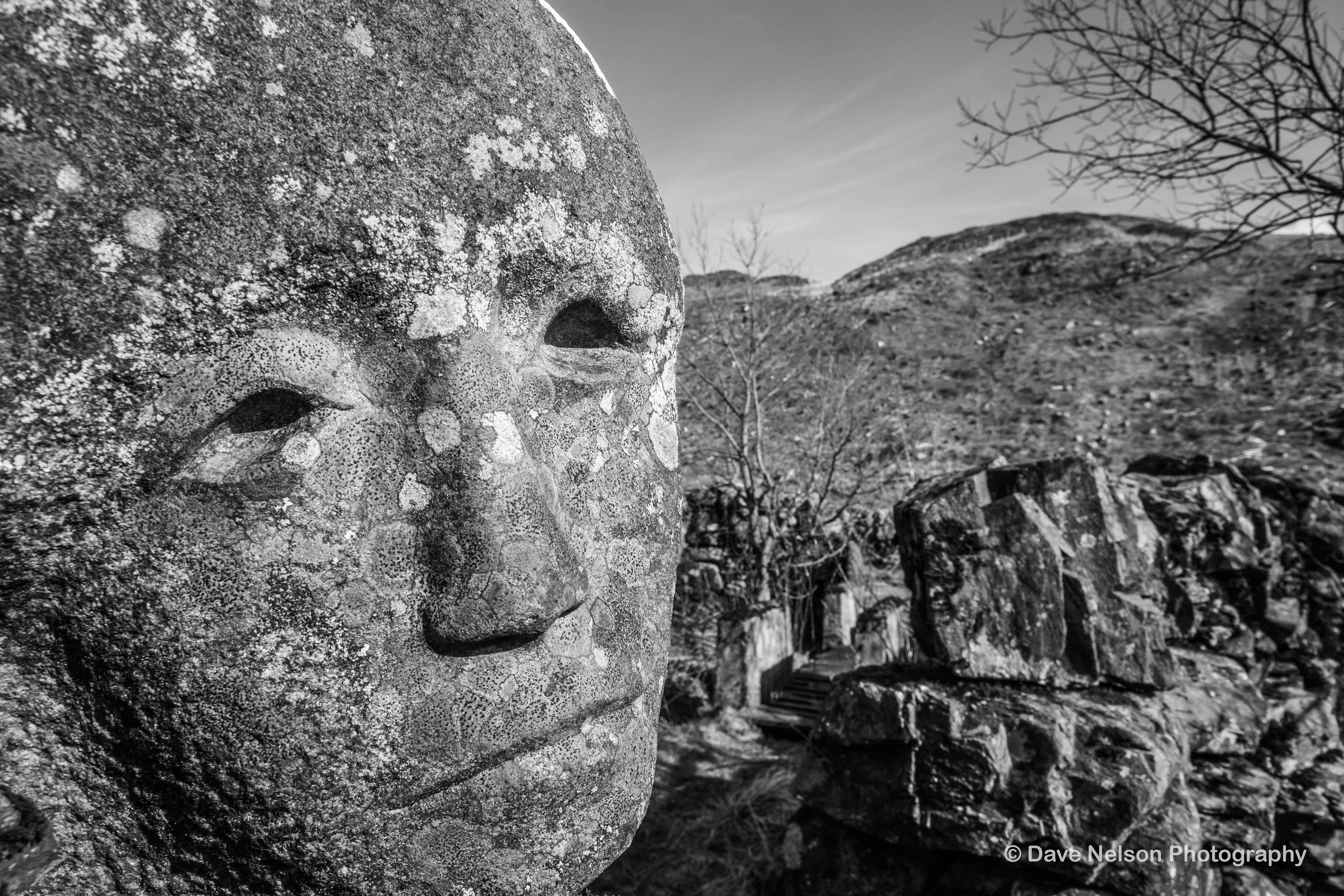 Contemplation - Carved Stone, Black Loch, Dumfries & Galloway, Scotland