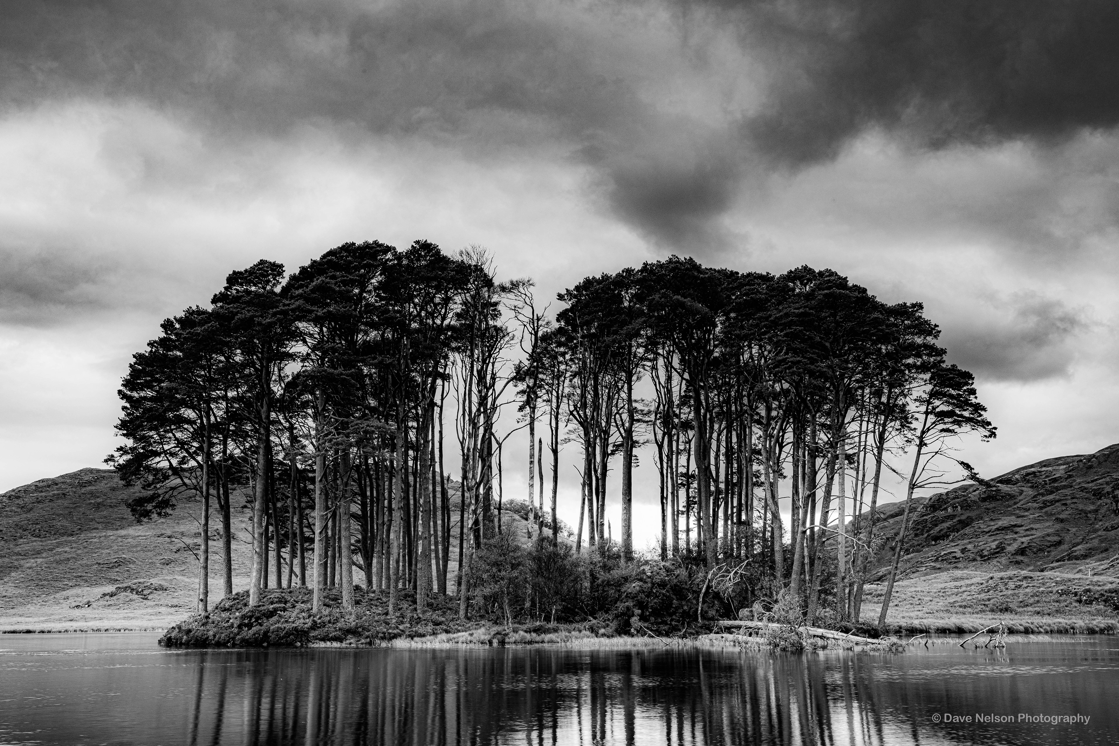 Island Copse, Road to the Isles, Highlands, Scotland