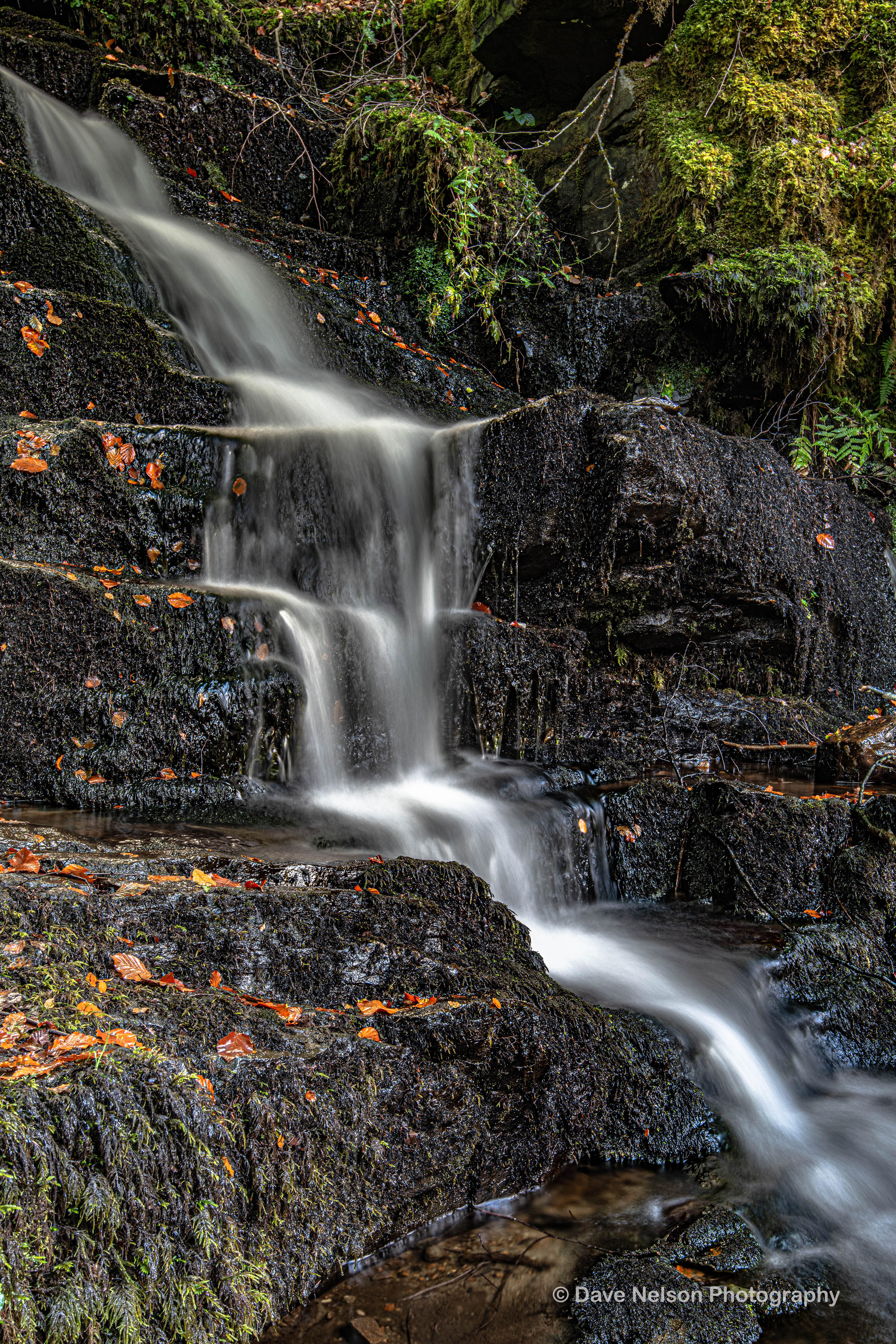 The Birks, Aberfeldy, Perthshire, Scotland