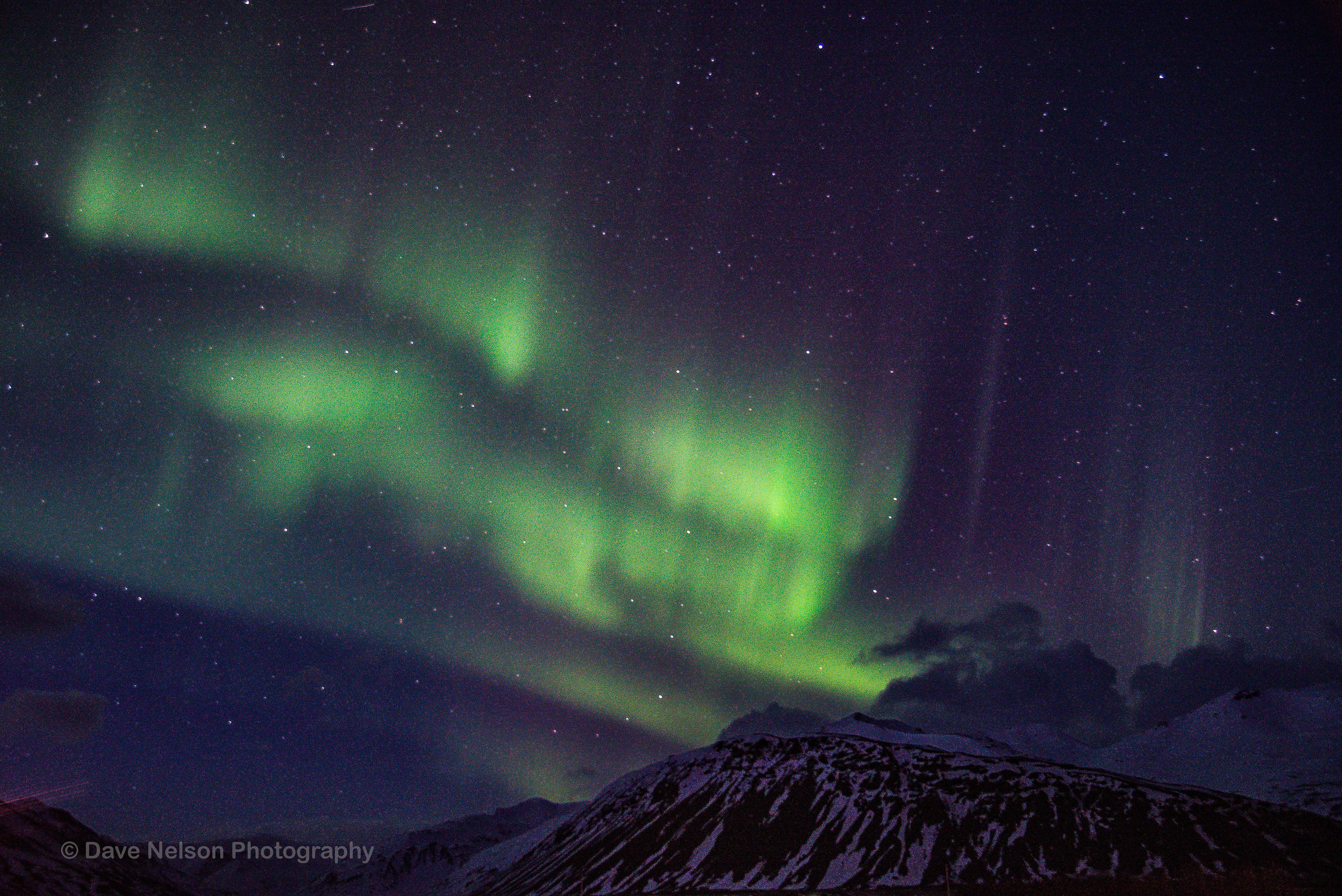 Dancing Lights of Höfn, South Iceland
