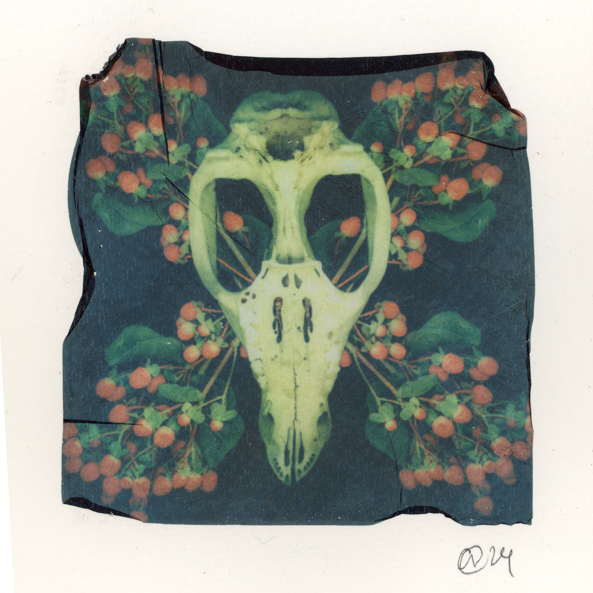 "Momento Mori"