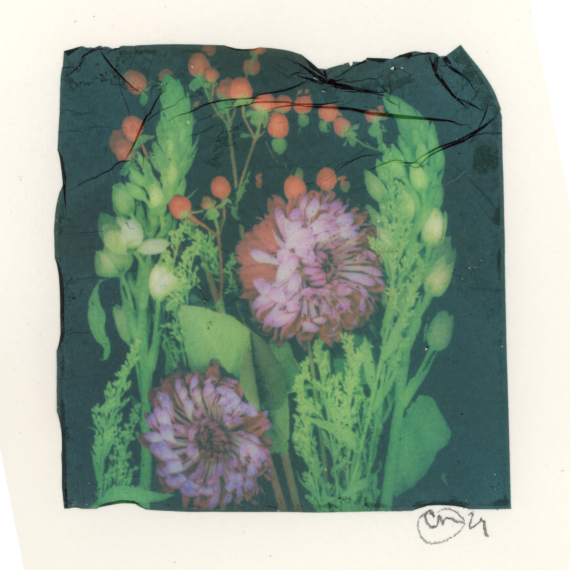 "Petals in Bloom"