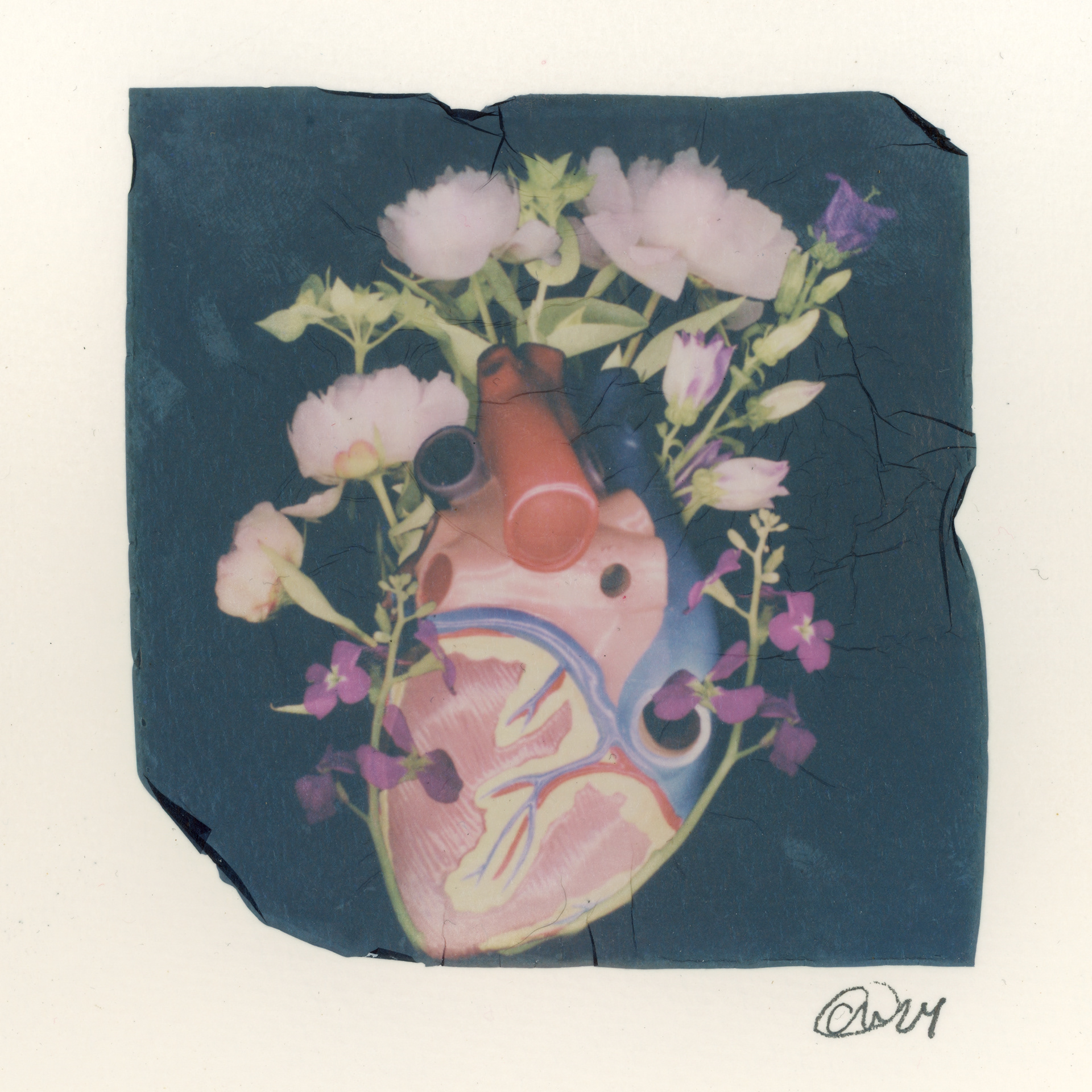 "Blooming Heart"