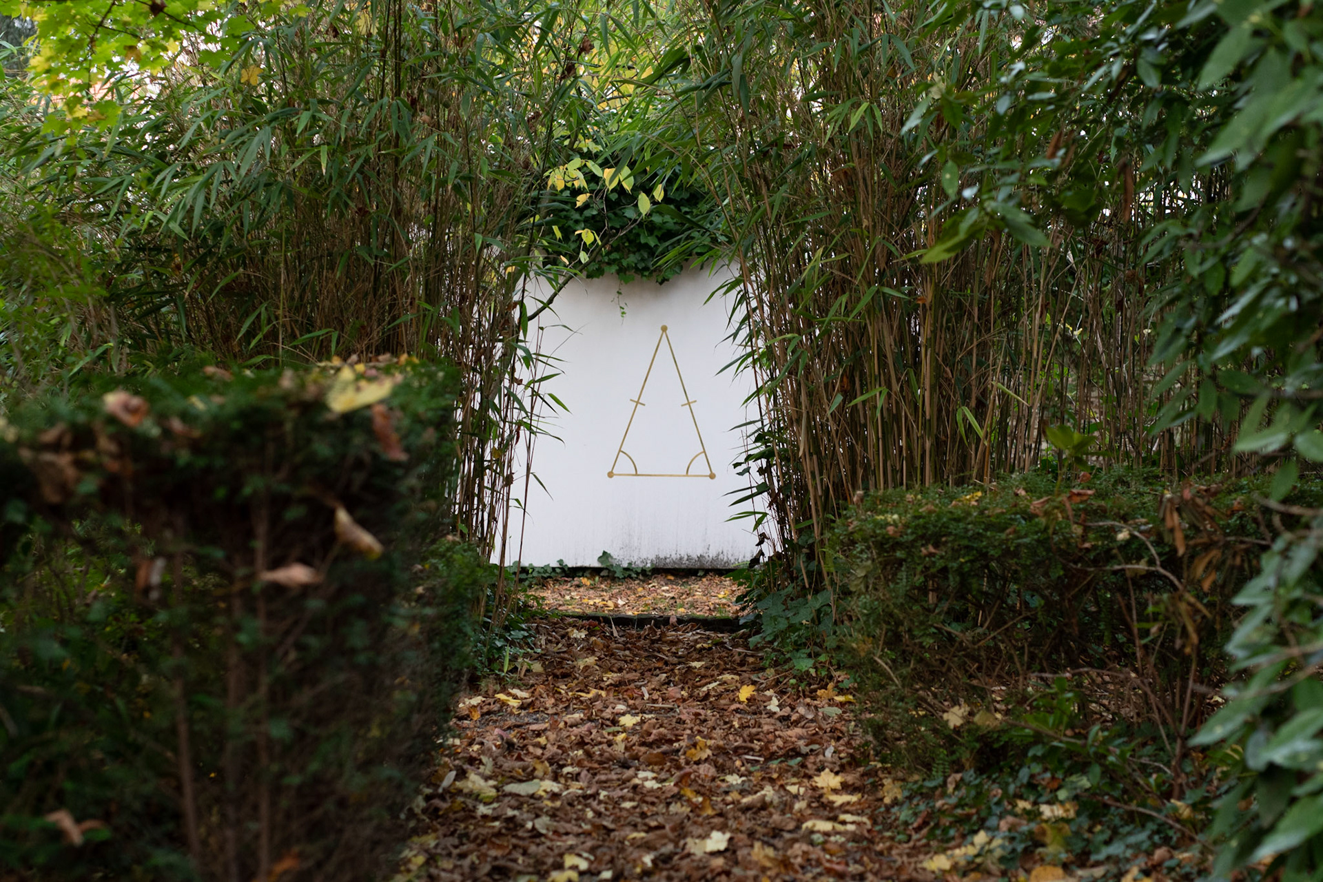 John M Armleder, Rectangle, Brussels