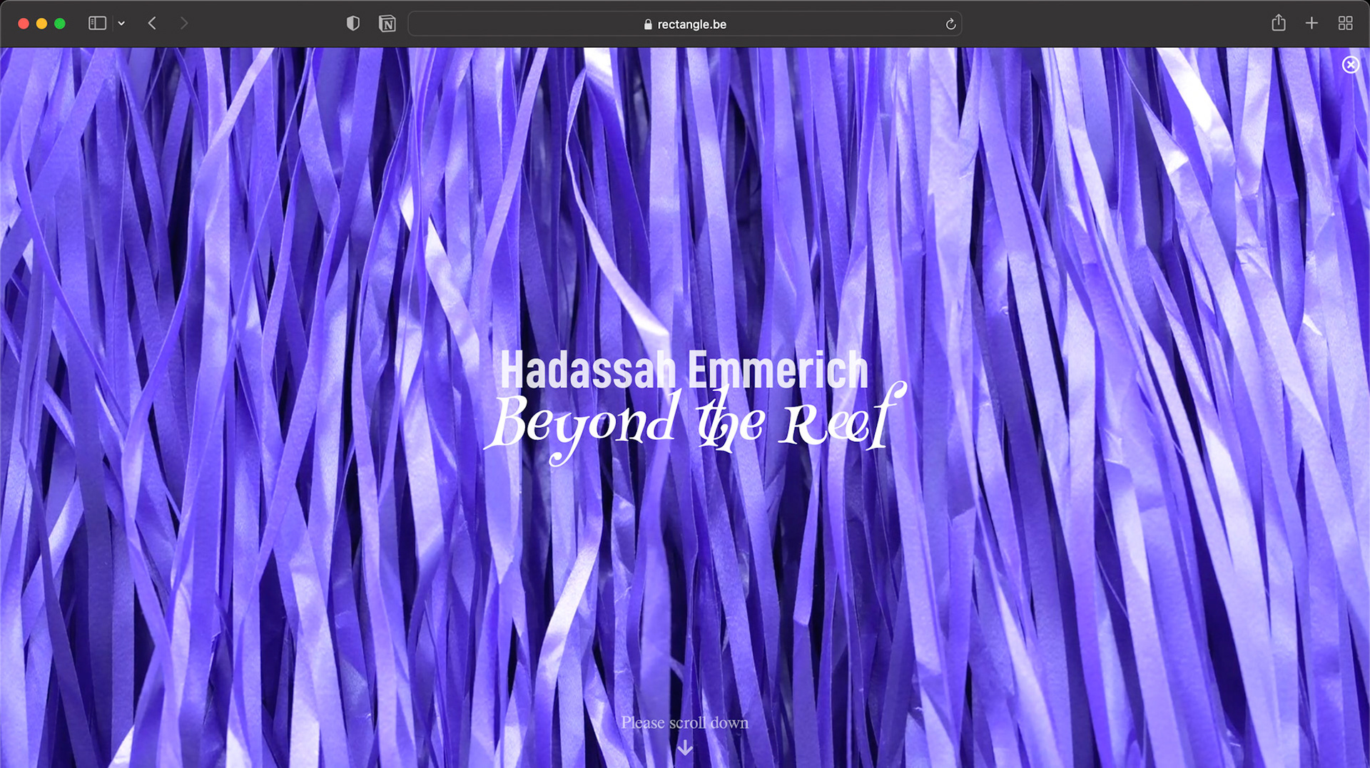 Hadassah Emmerich – Online Viewing Room
