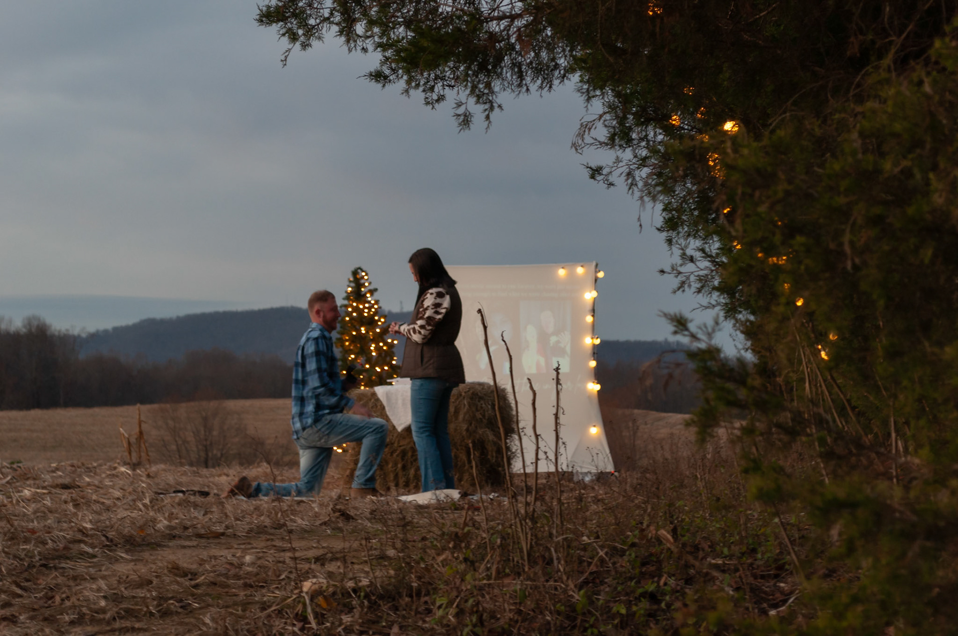 photo by Allie Drake, edit by Katie Gannon
