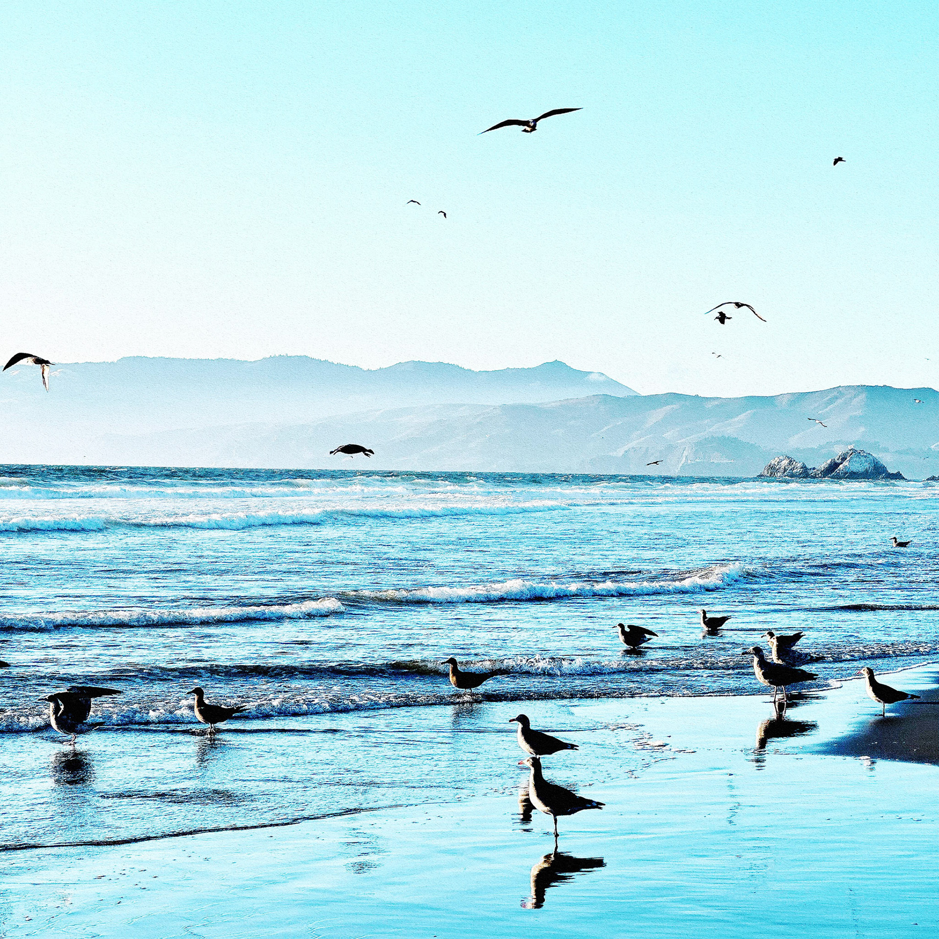 Ocean Beach Sands No.30