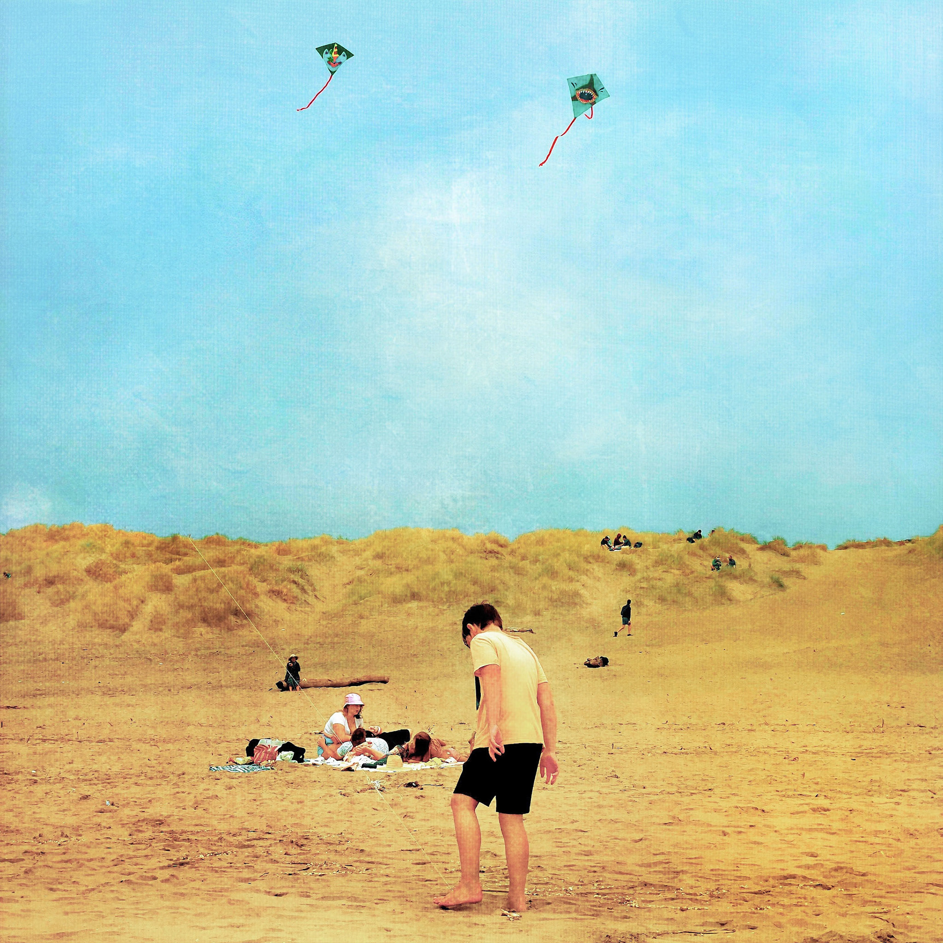 Ocean Beach Sands No.21