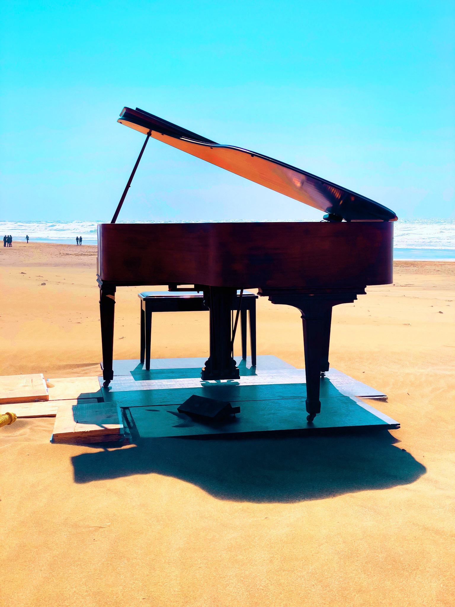 Ocean Beach Sands No.11