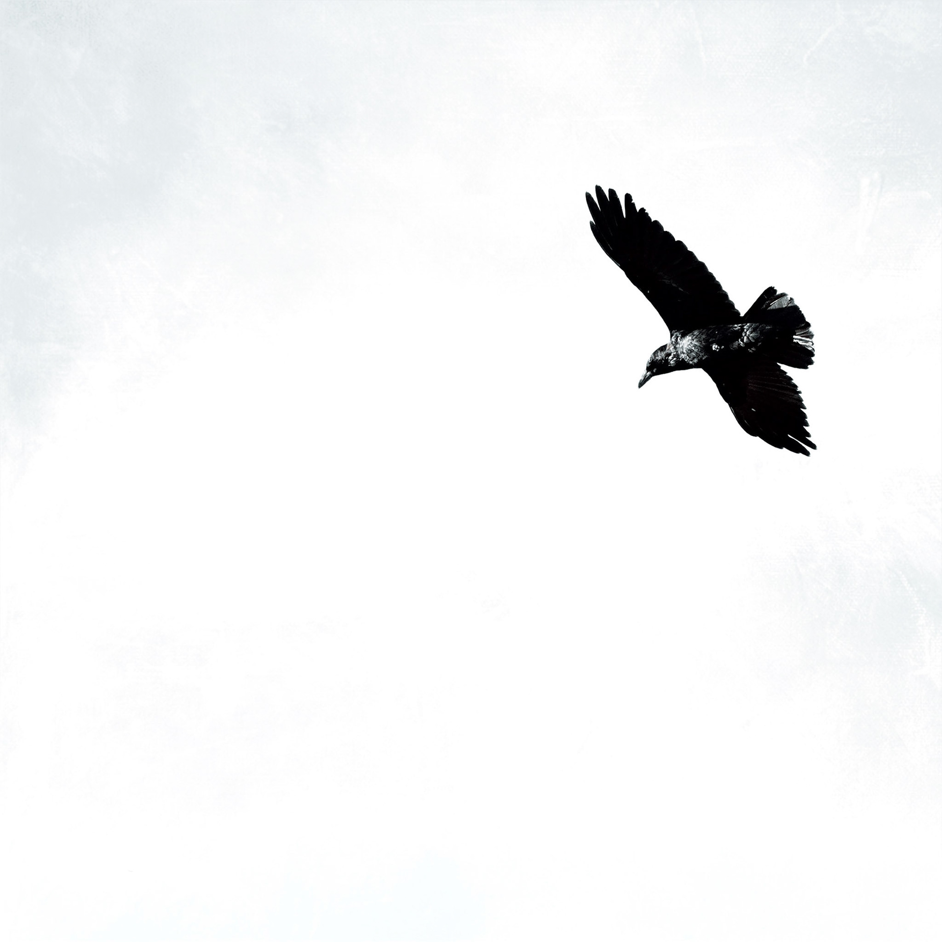Flight